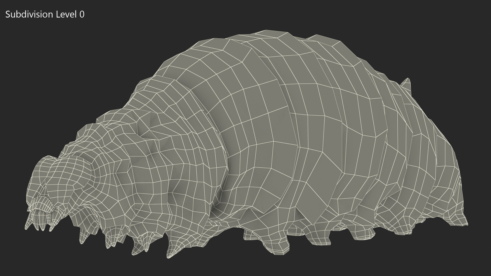 3D model Silkworm White Rigged for Maya