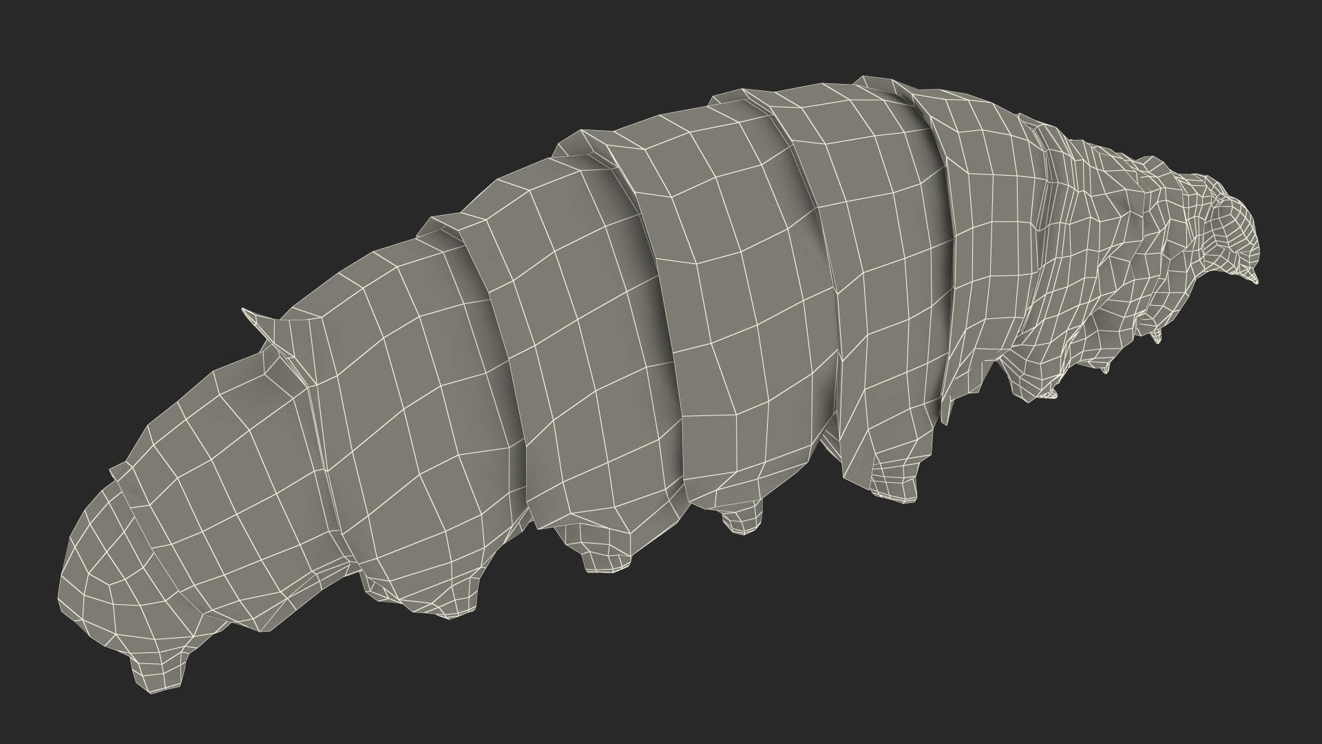 3D model Silkworm White Rigged for Maya