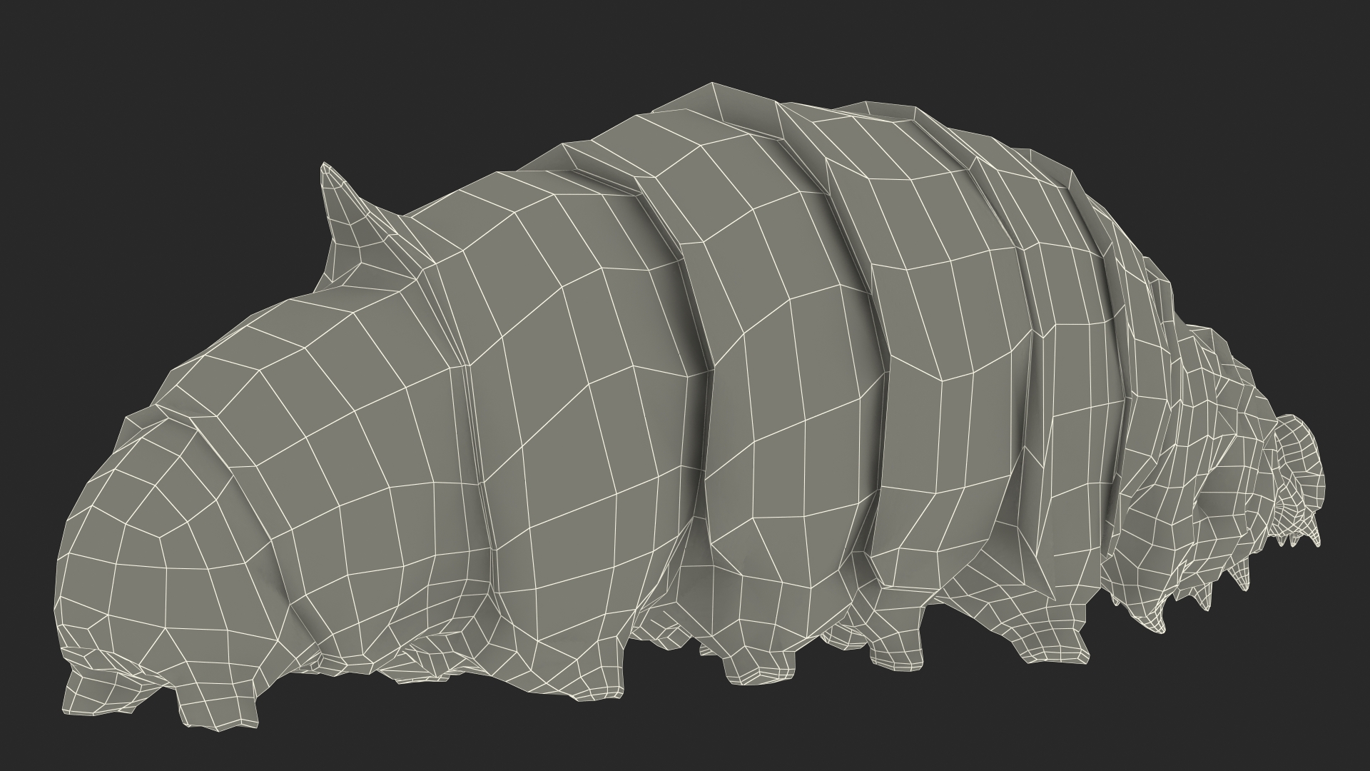 3D model Silkworm White Rigged for Maya