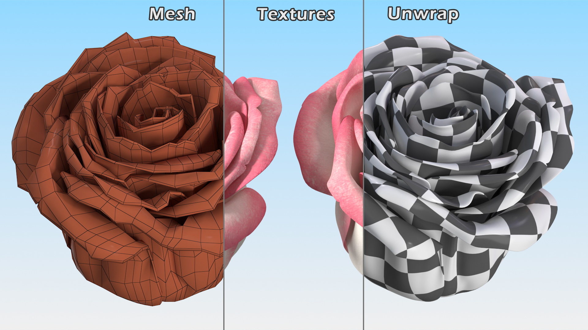 3D Rose Bud Pink model