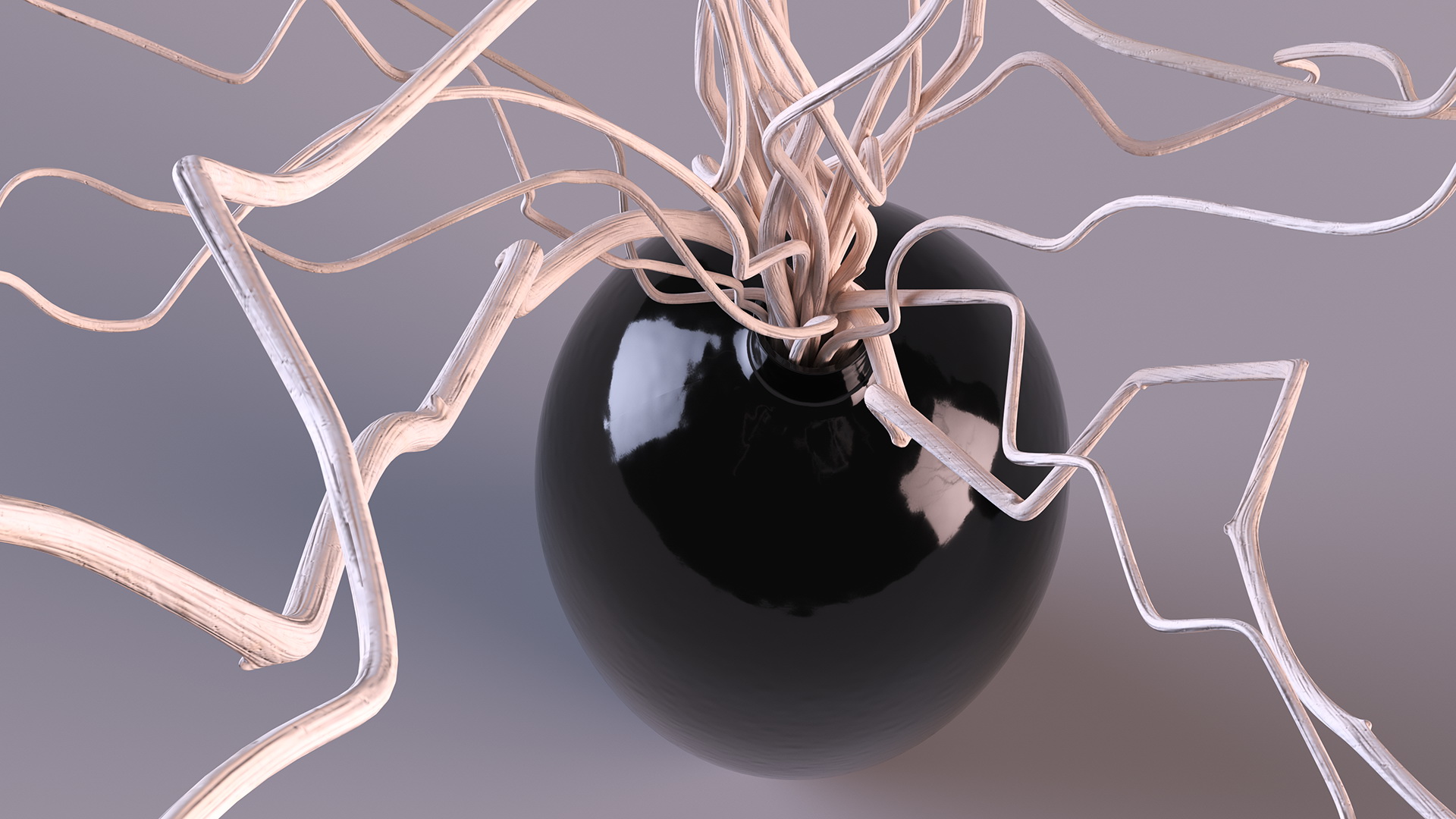 3D White Curly Willow Branches in Black Vase