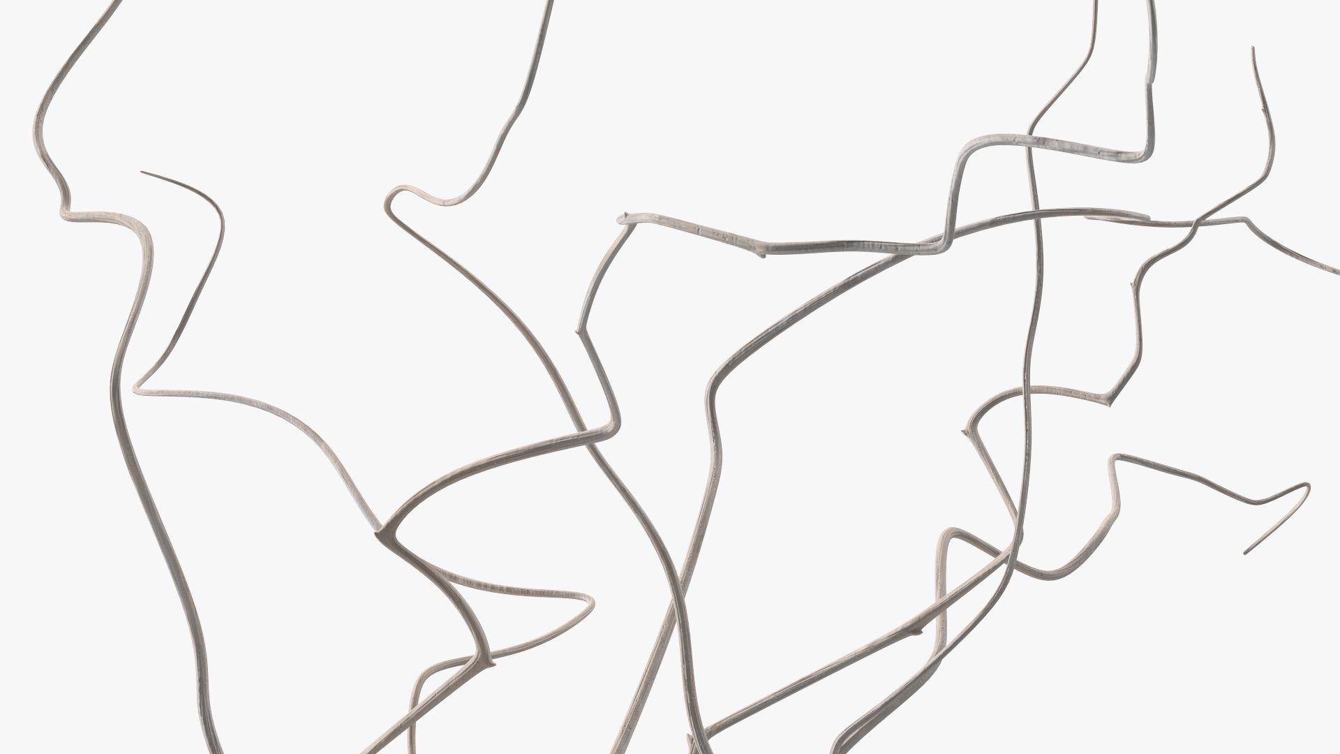 3D White Curly Willow Branches in Black Vase