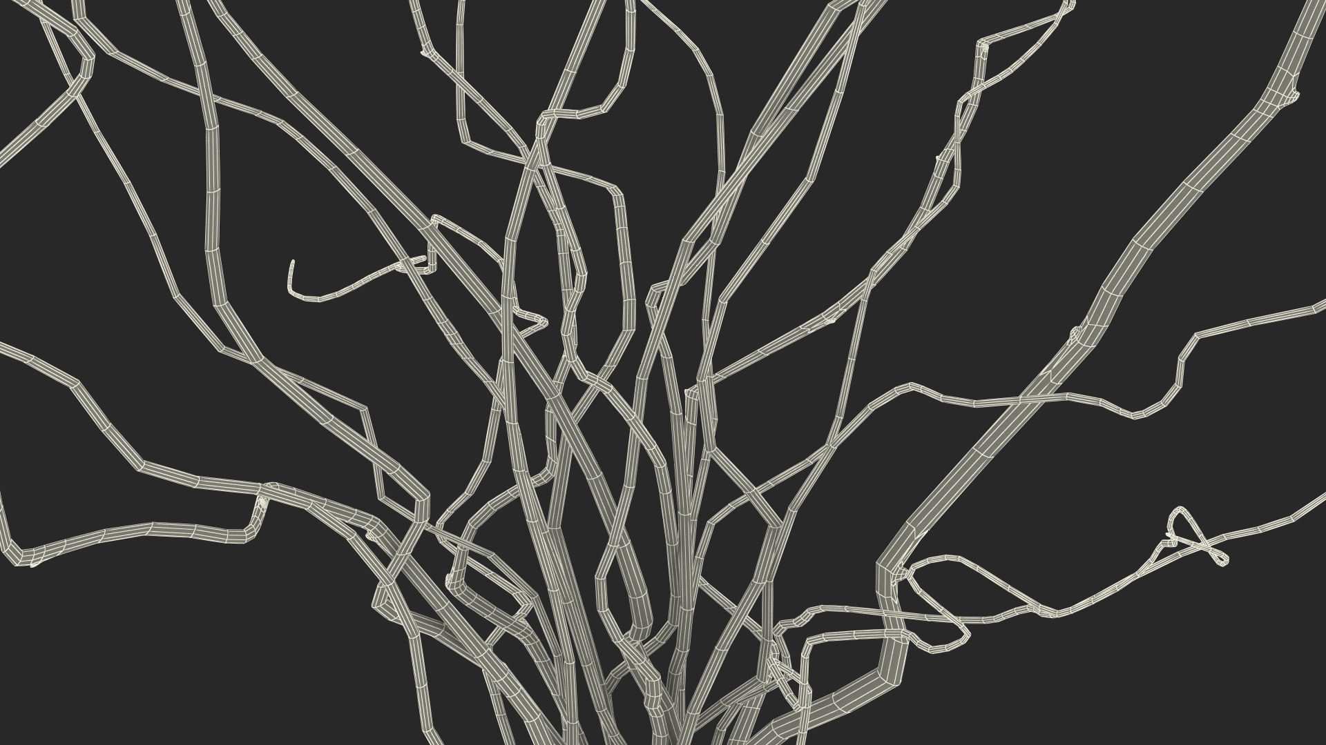 3D White Curly Willow Branches in Black Vase