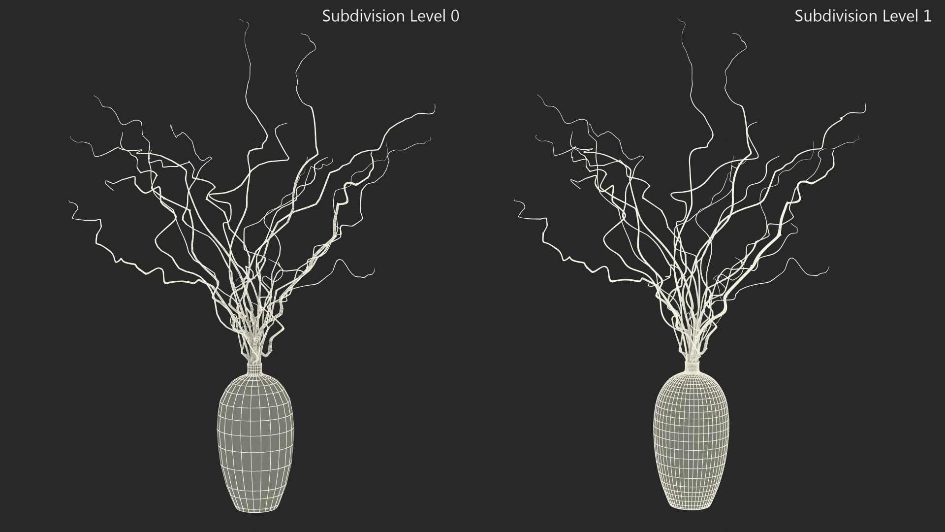 3D White Curly Willow Branches in Black Vase