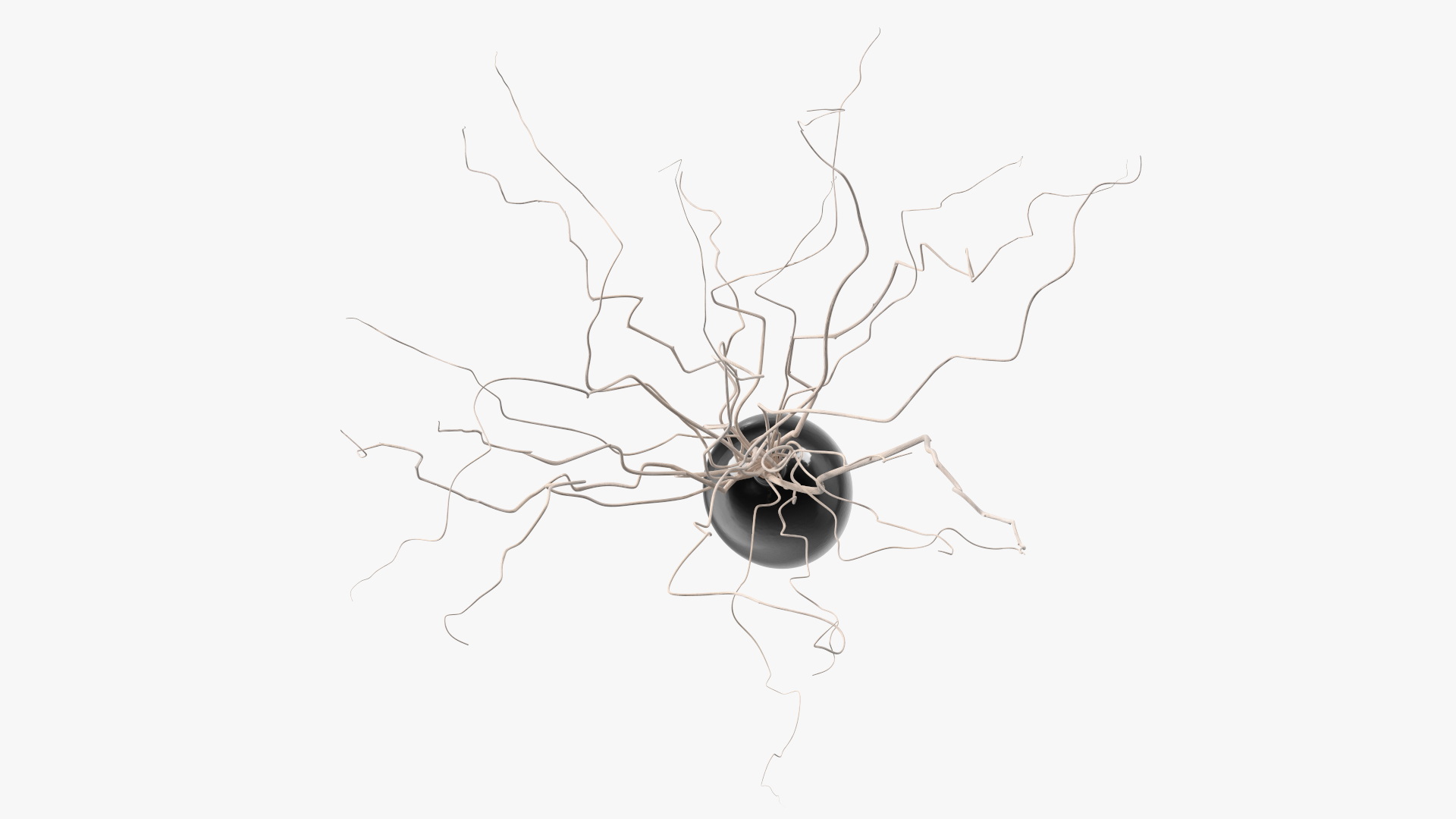 3D White Curly Willow Branches in Black Vase