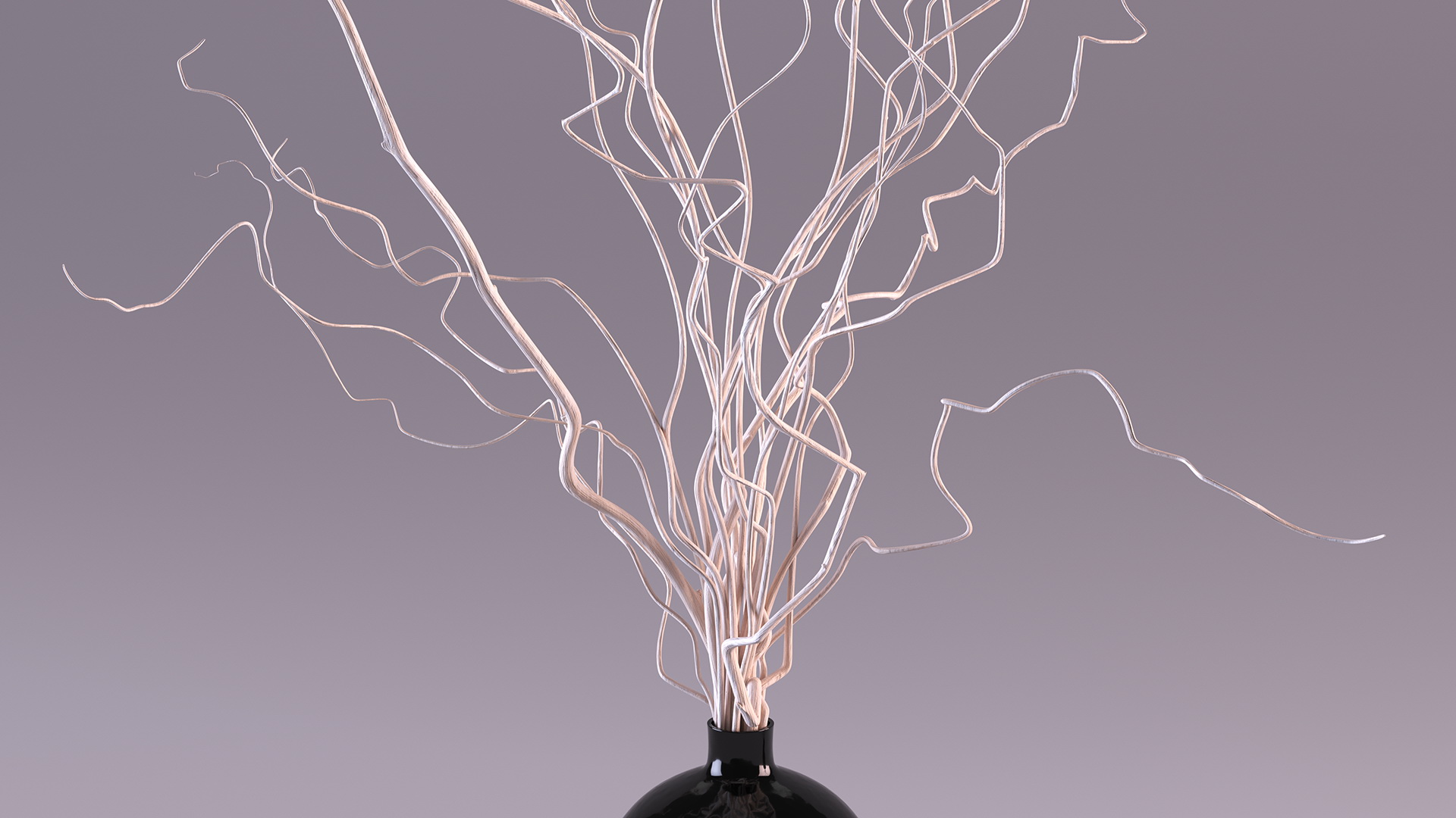 3D White Curly Willow Branches in Black Vase