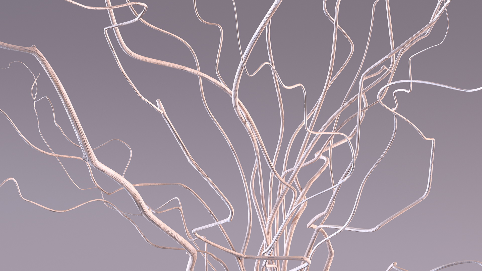 3D White Curly Willow Branches in Black Vase