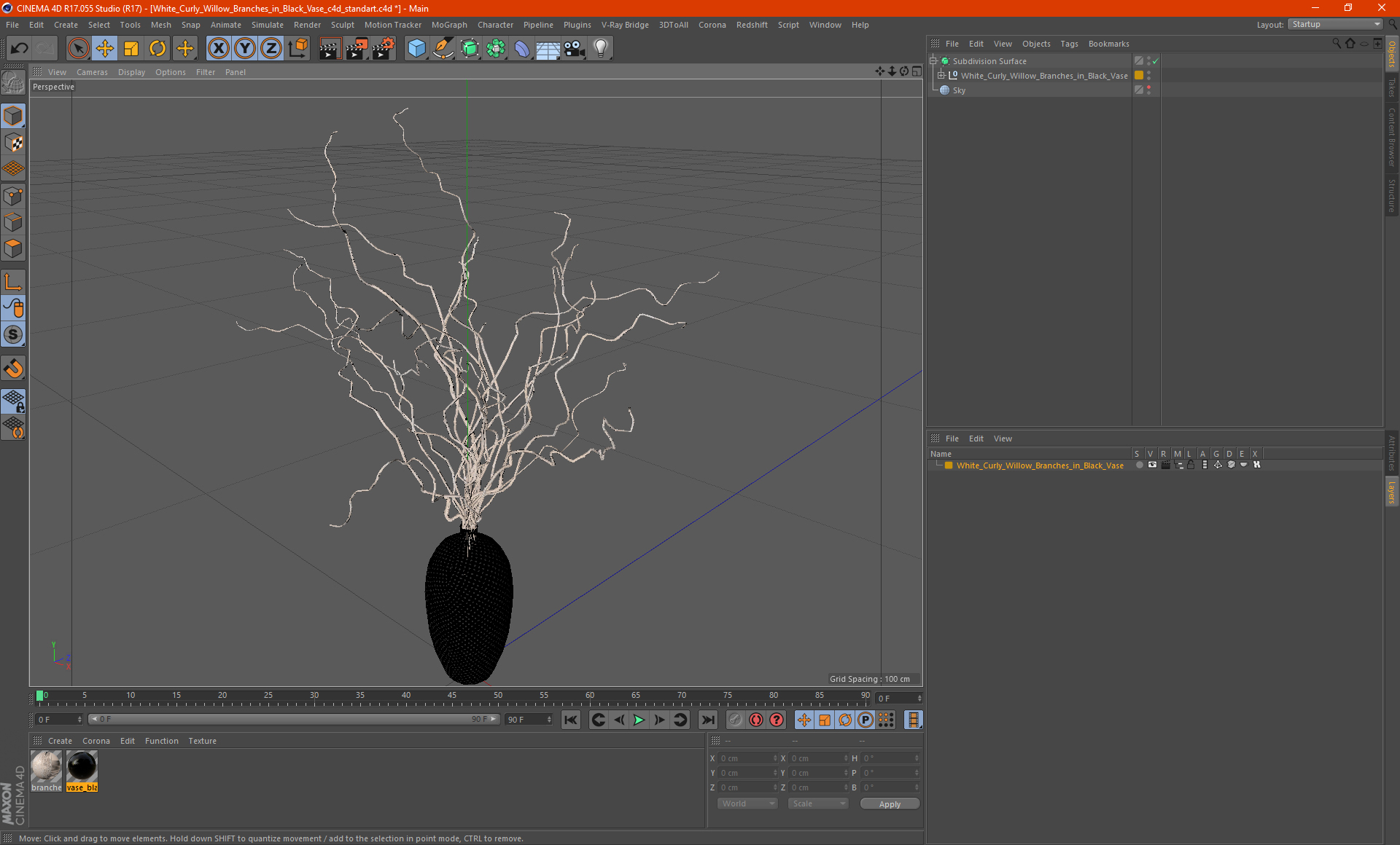 3D White Curly Willow Branches in Black Vase