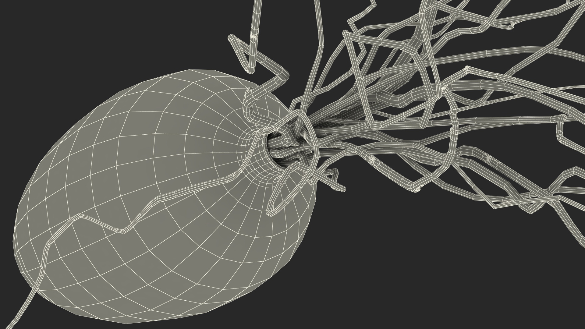 3D White Curly Willow Branches in Black Vase