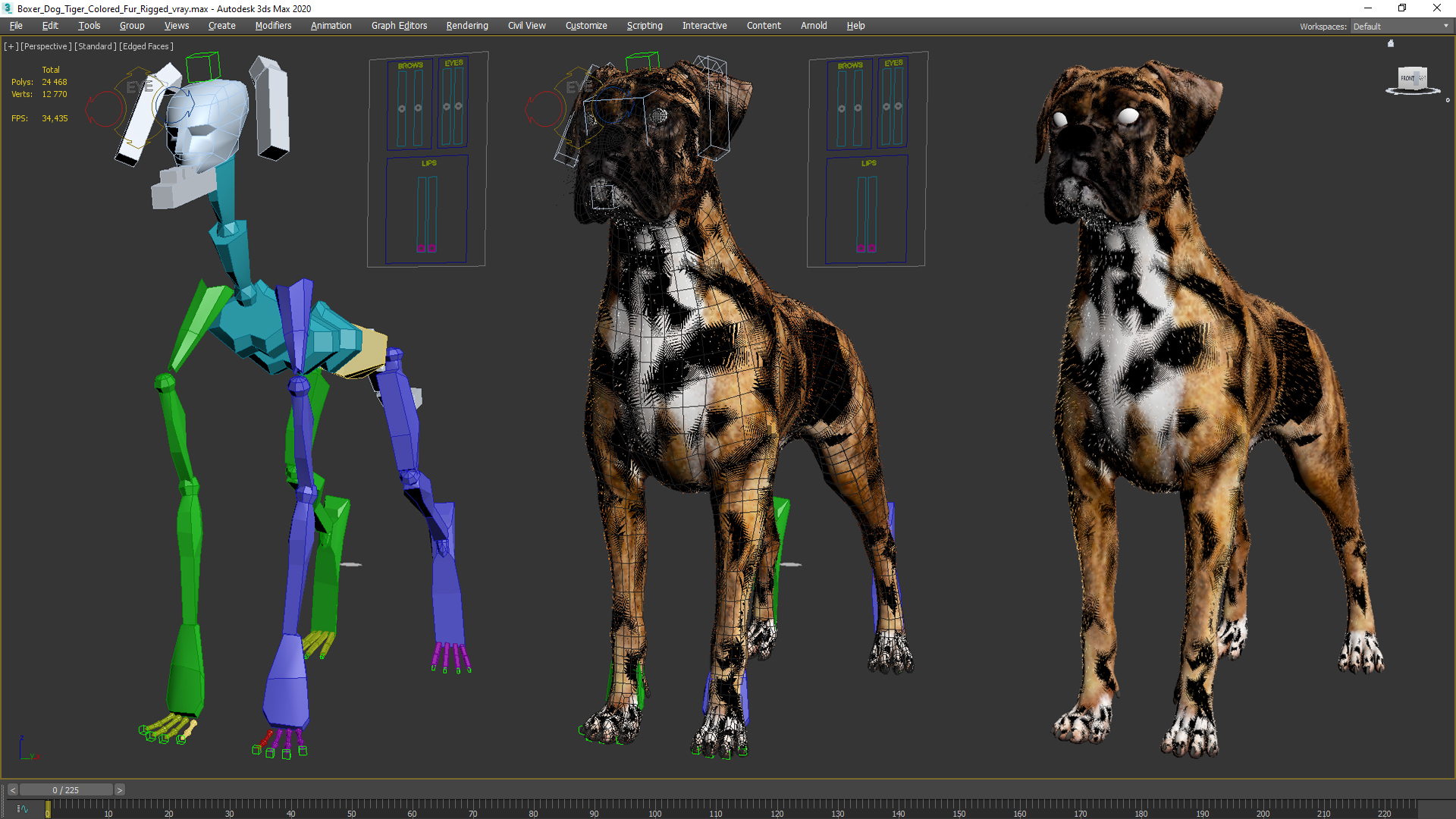 Boxer Dog Tiger Colored Fur Rigged 3D model