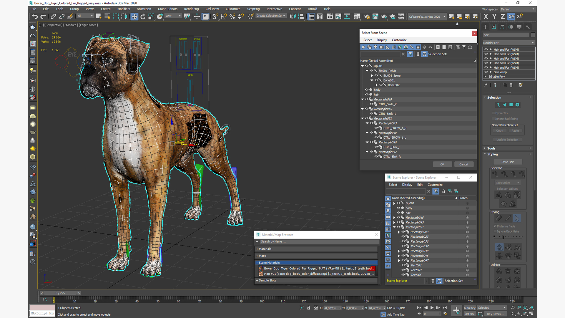 Boxer Dog Tiger Colored Fur Rigged 3D model