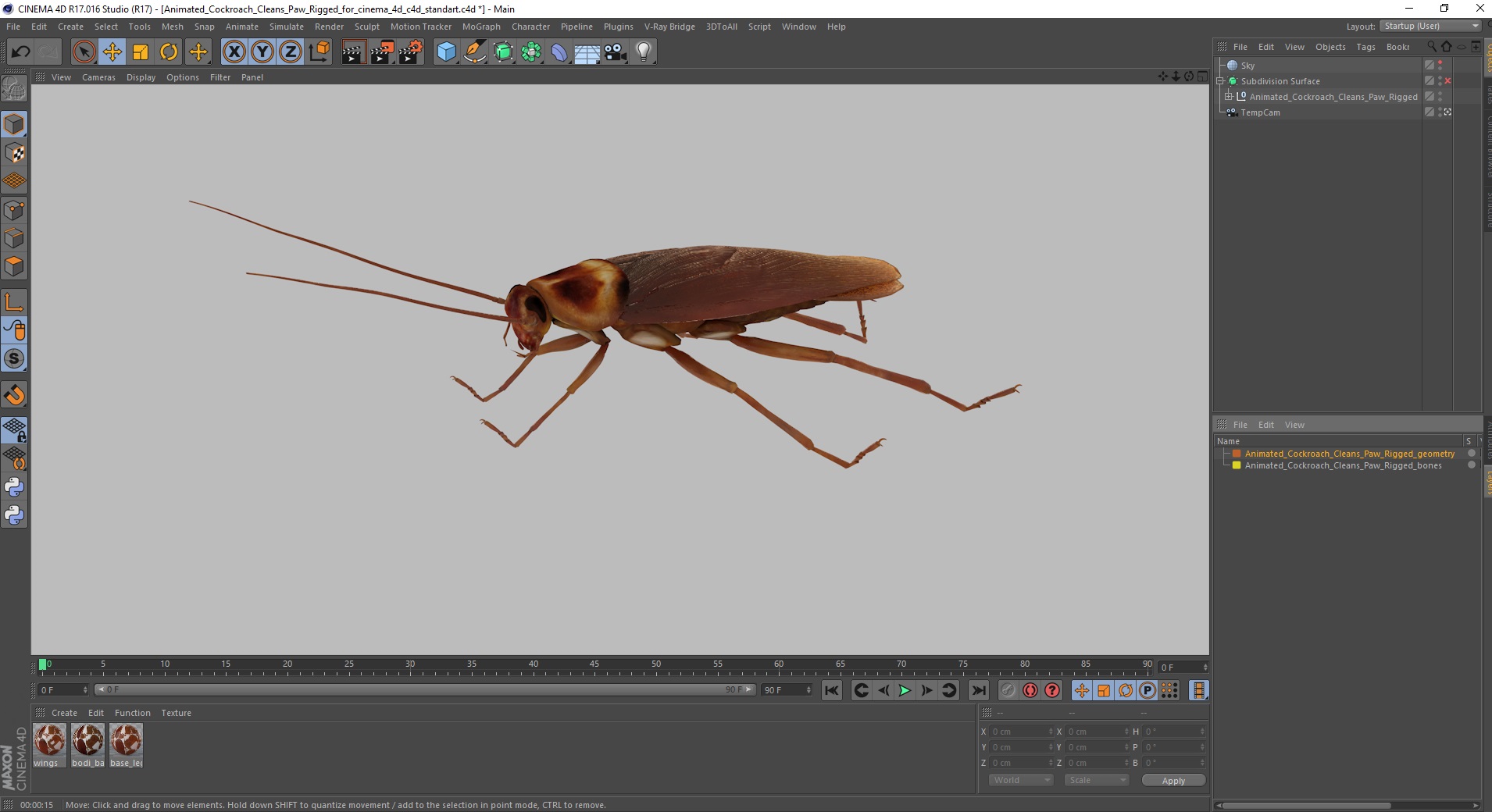 3D model Animated Cockroach Cleans Paw Rigged for Cinema 4D