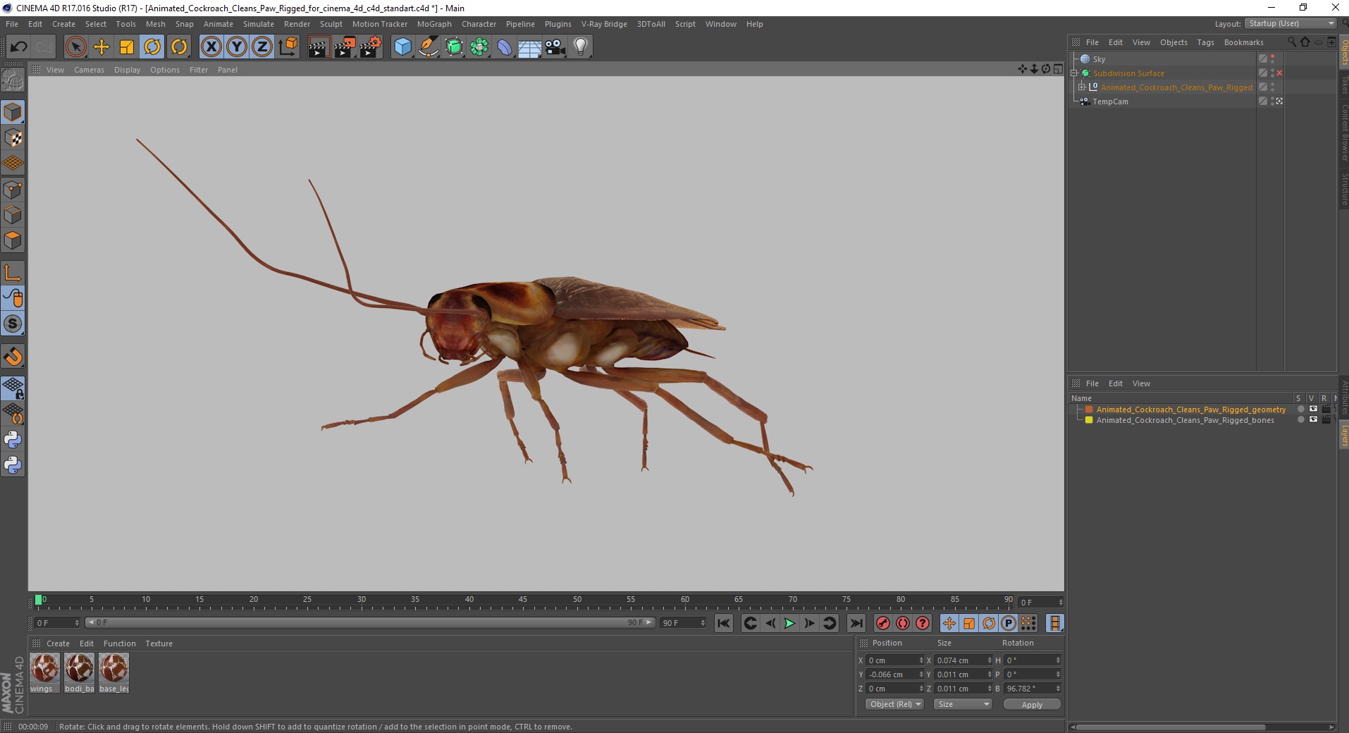 3D model Animated Cockroach Cleans Paw Rigged for Cinema 4D
