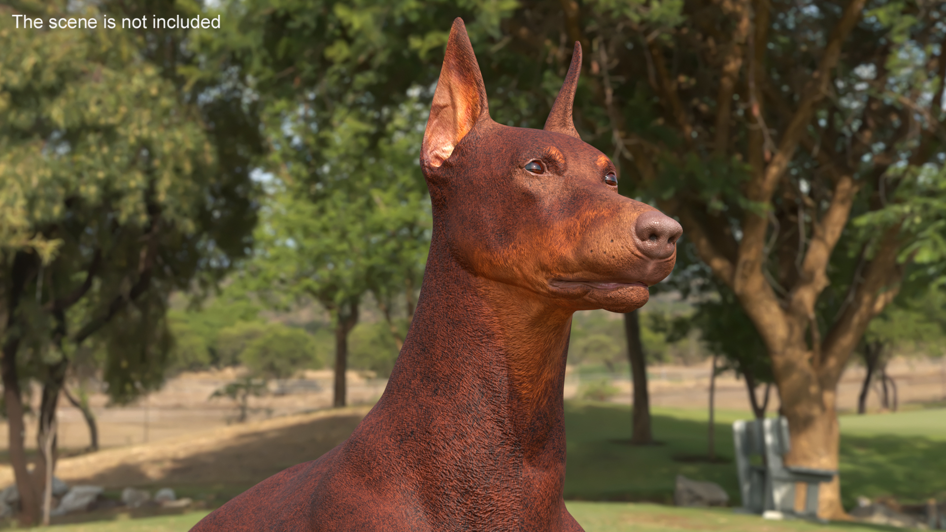 Doberman Dog Brown Lying Down 3D model