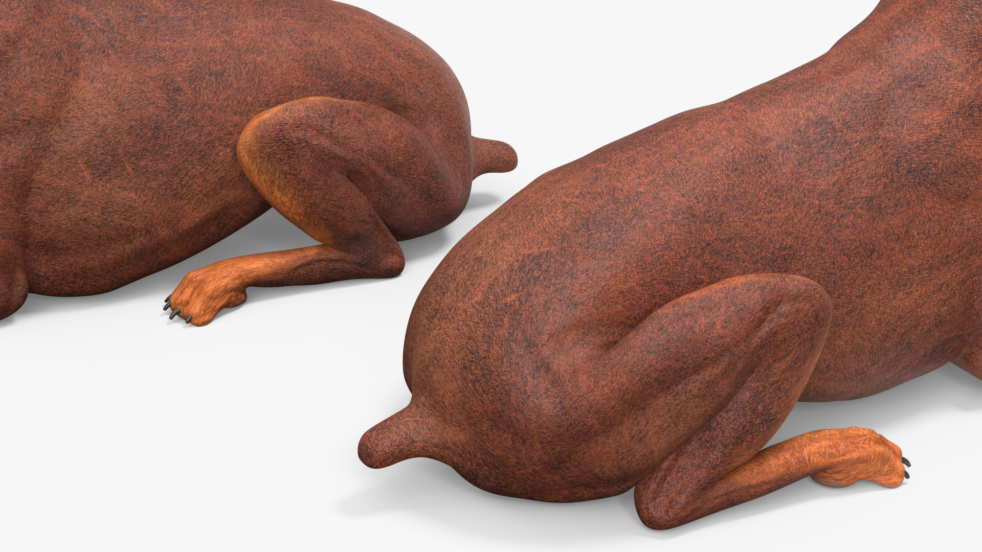 Doberman Dog Brown Lying Down 3D model