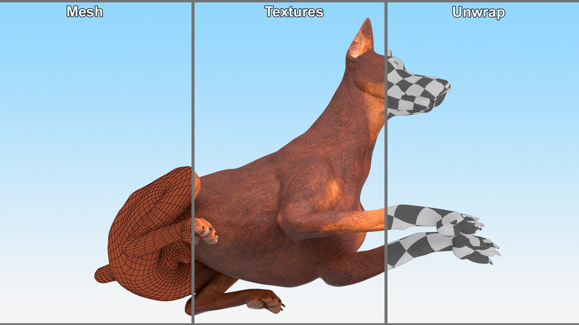 Doberman Dog Brown Lying Down 3D model