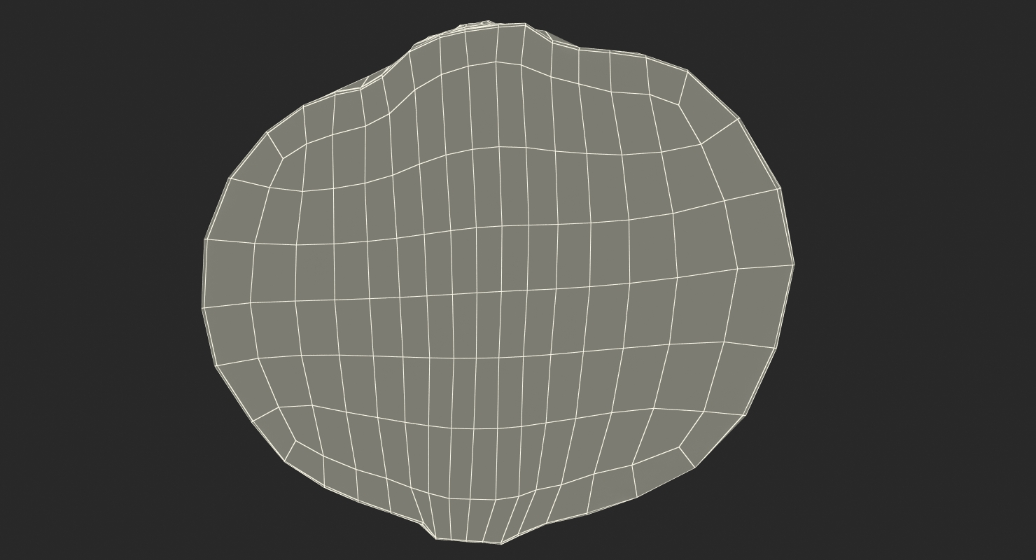 3D Beetroot Half model