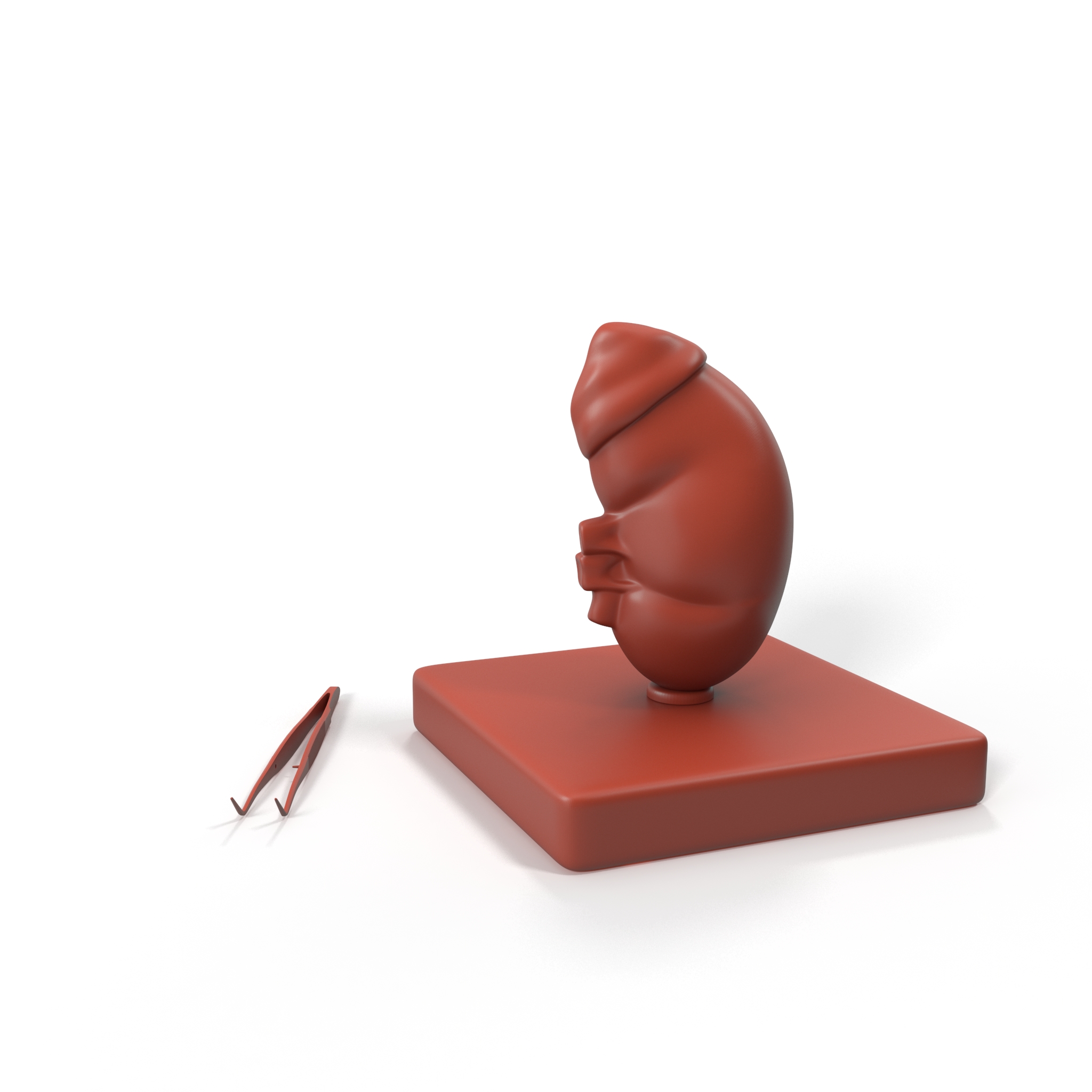 Medical Anatomical Kidney Human for 3D Print 3D model