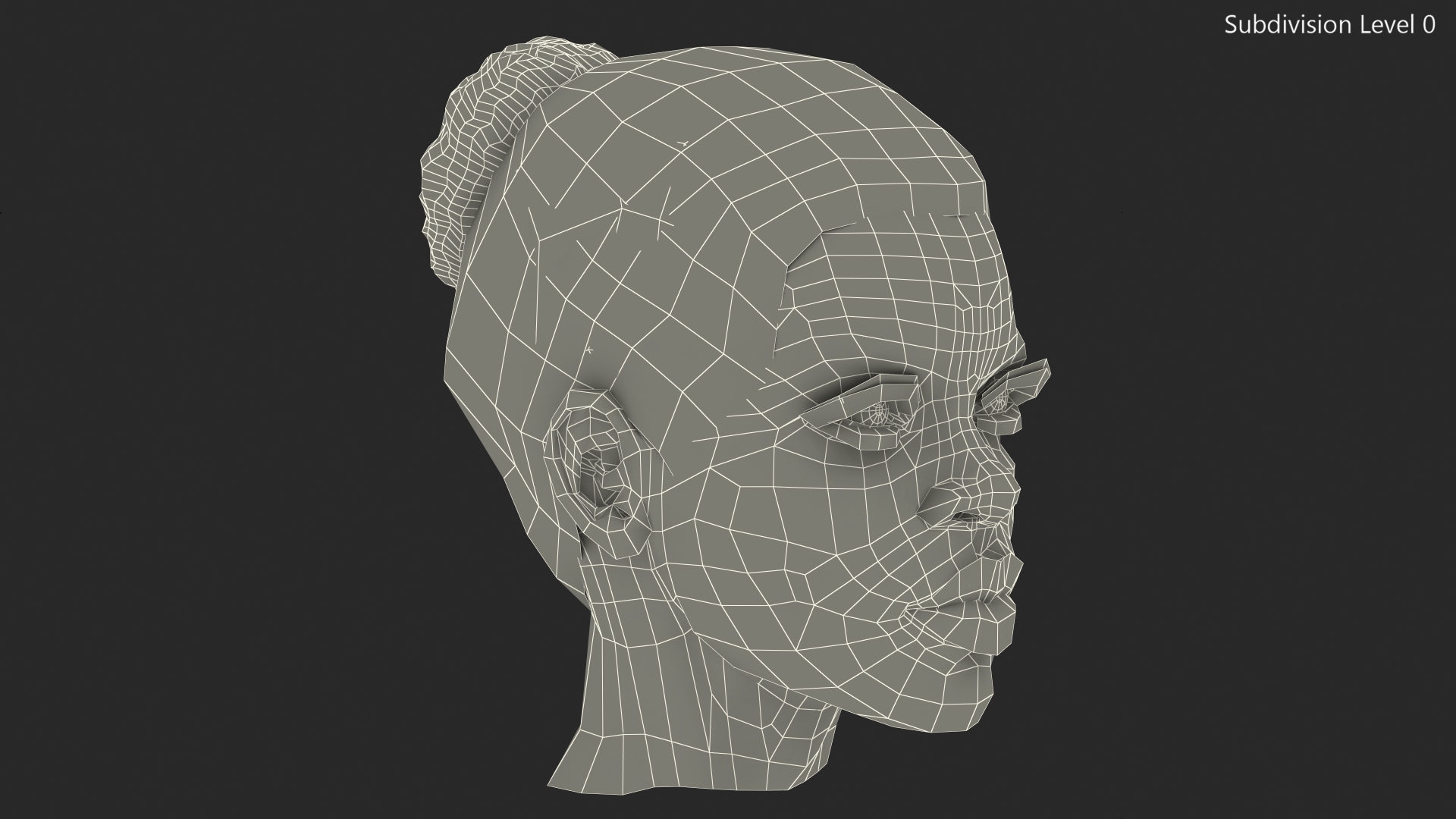 Afro American Woman Head Dark Skin 3D model