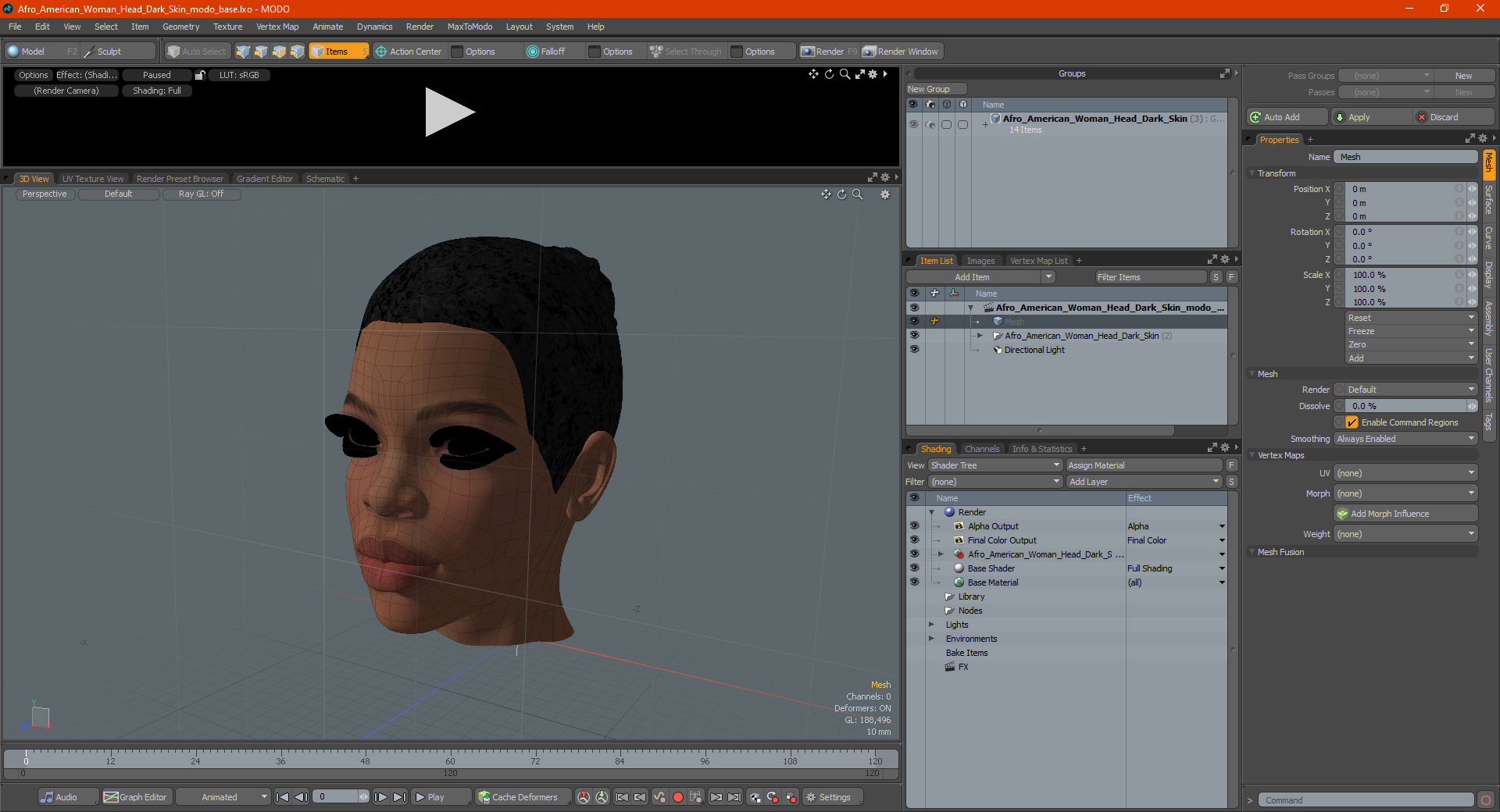 Afro American Woman Head Dark Skin 3D model