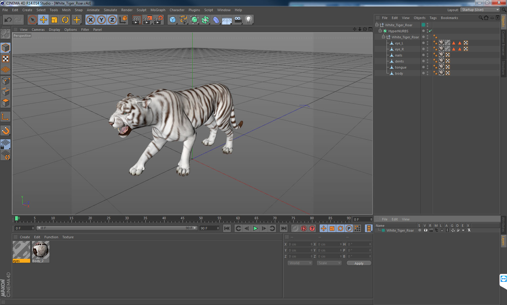 3D White Tiger Roar