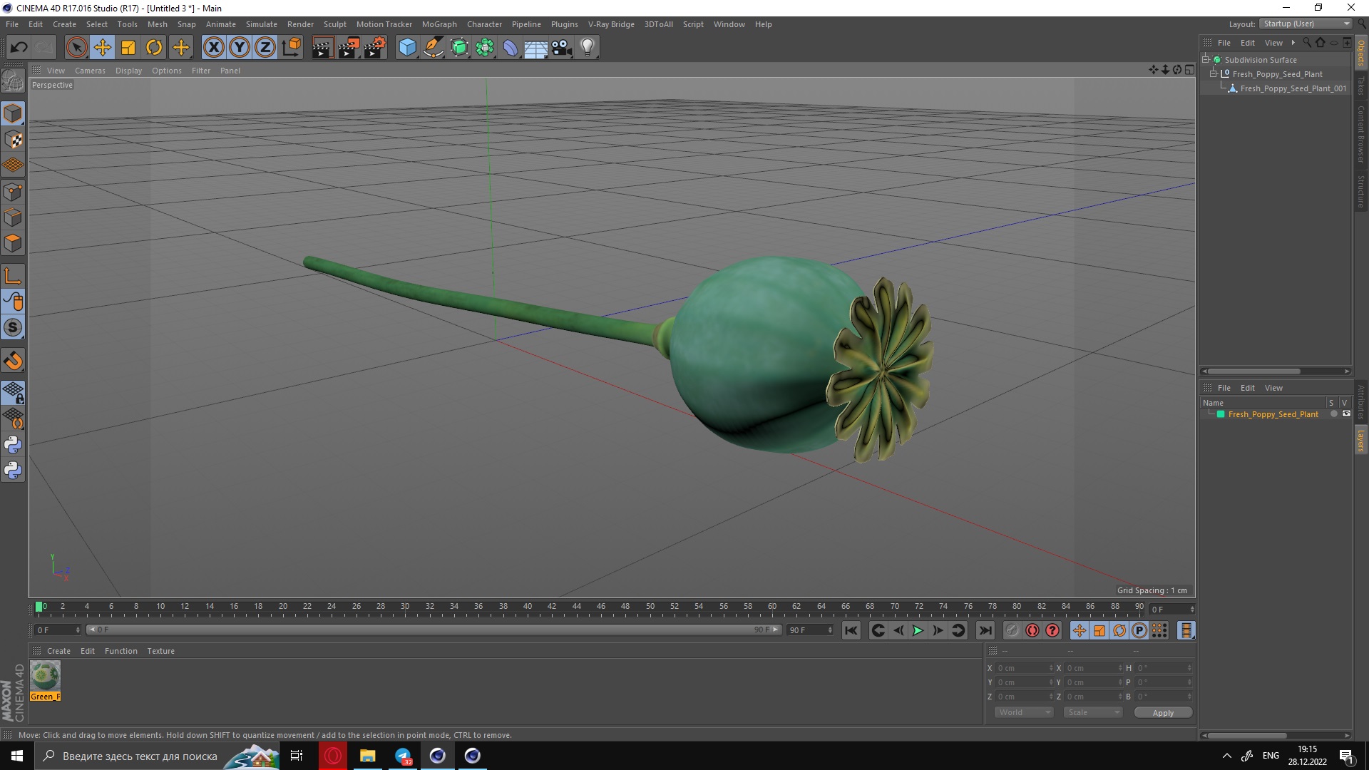 Fresh Poppy Seed Plant 3D