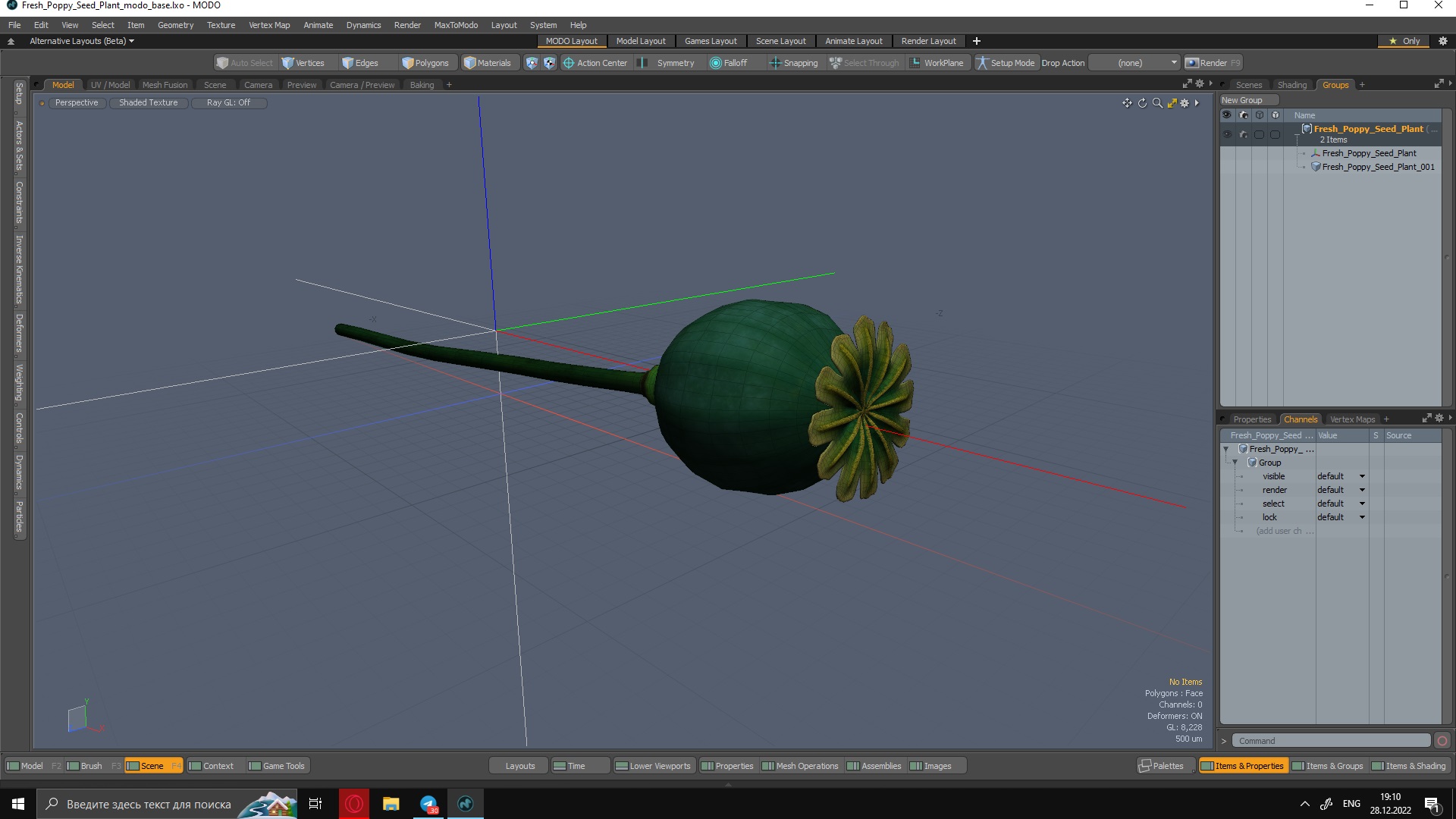 Fresh Poppy Seed Plant 3D