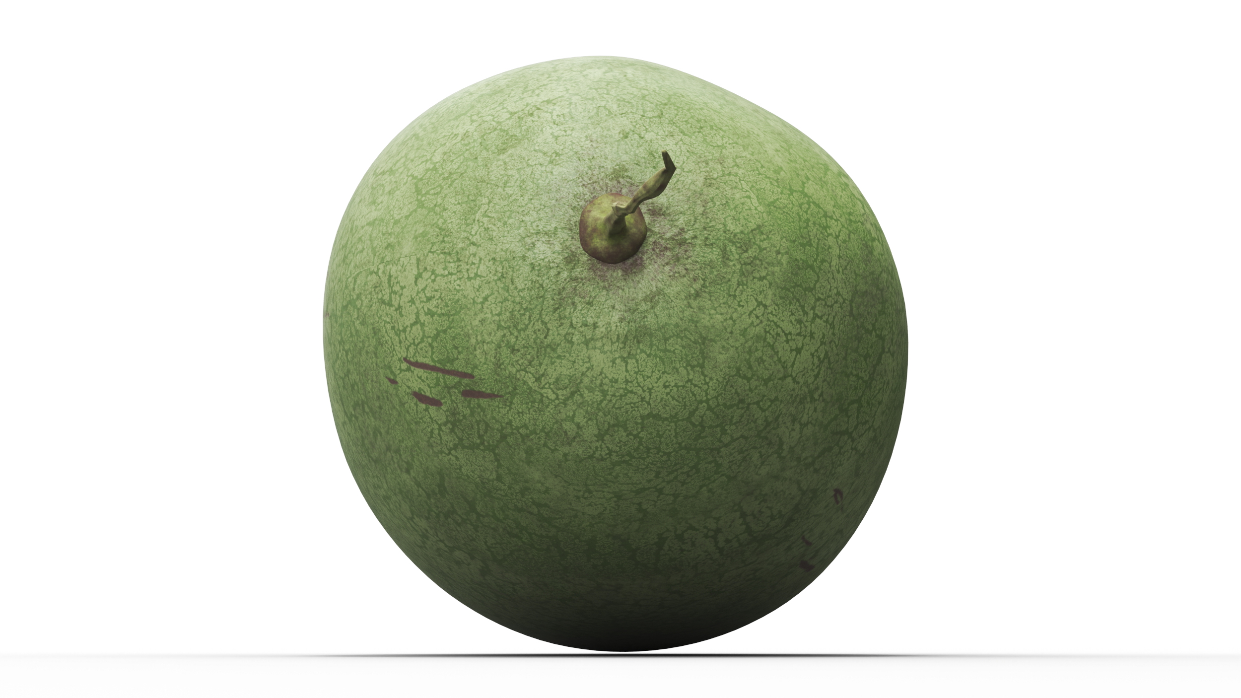 3D Charleston Gray Oblong Watermelon model