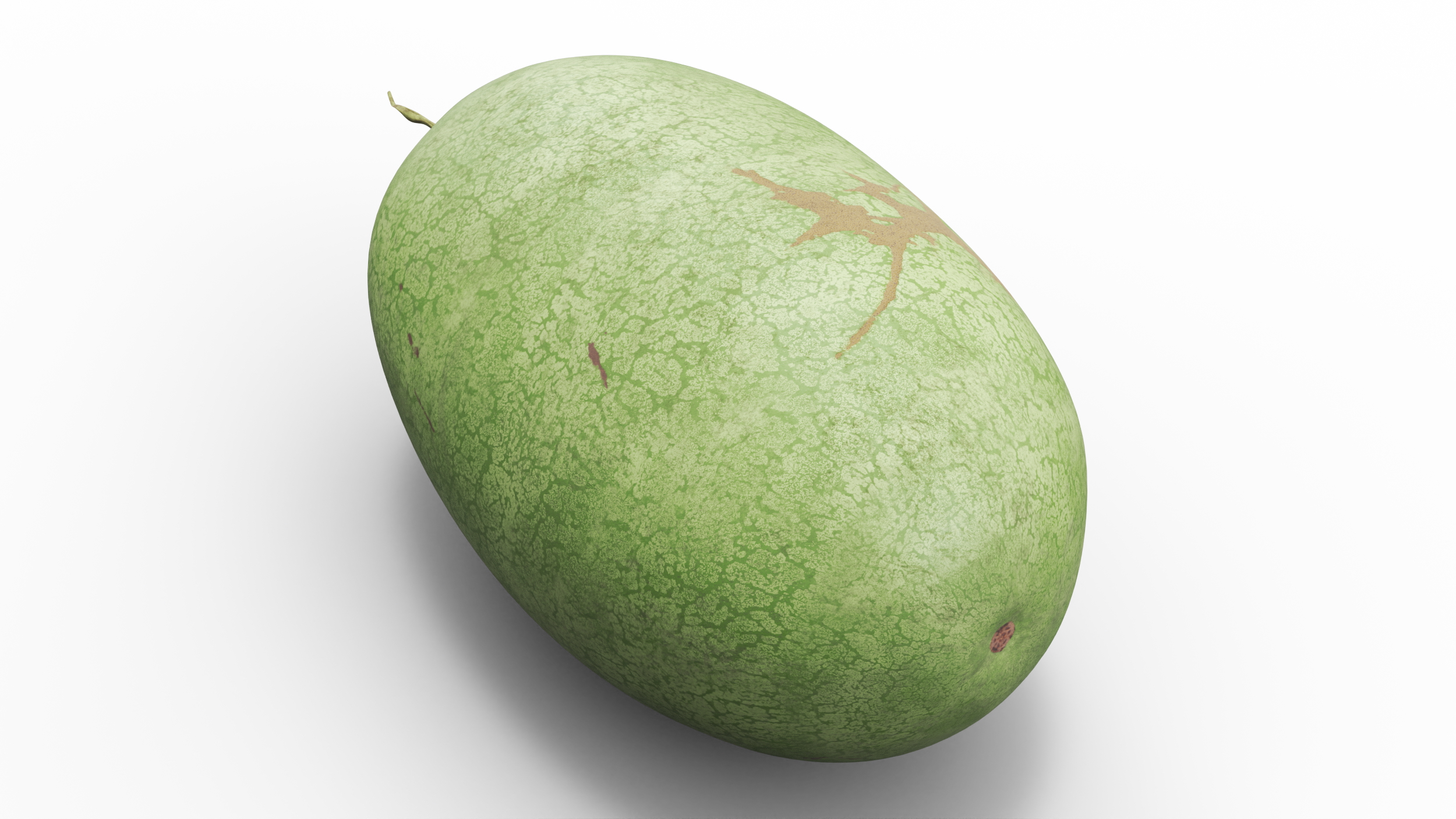 3D Charleston Gray Oblong Watermelon model