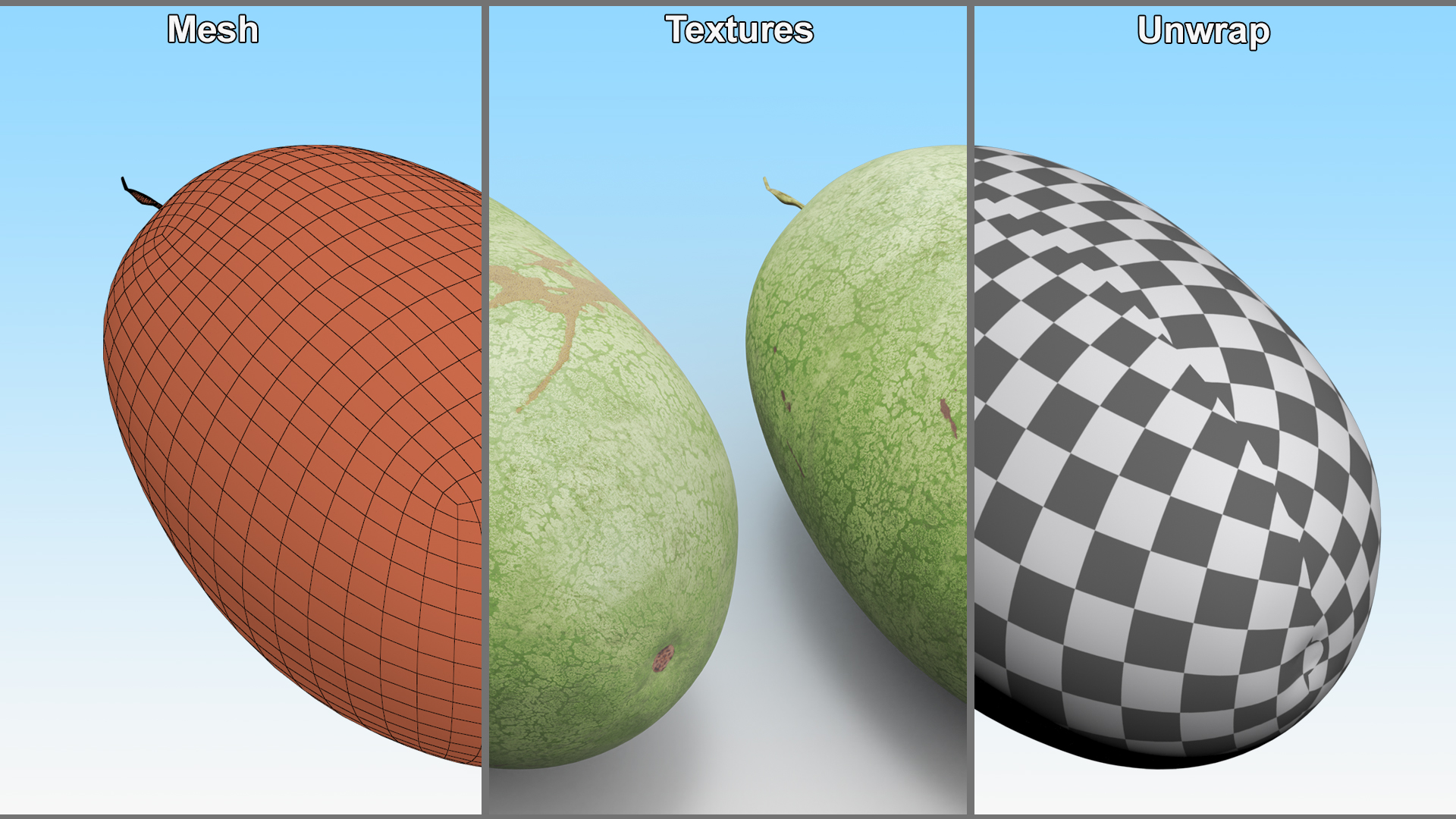 3D Charleston Gray Oblong Watermelon model