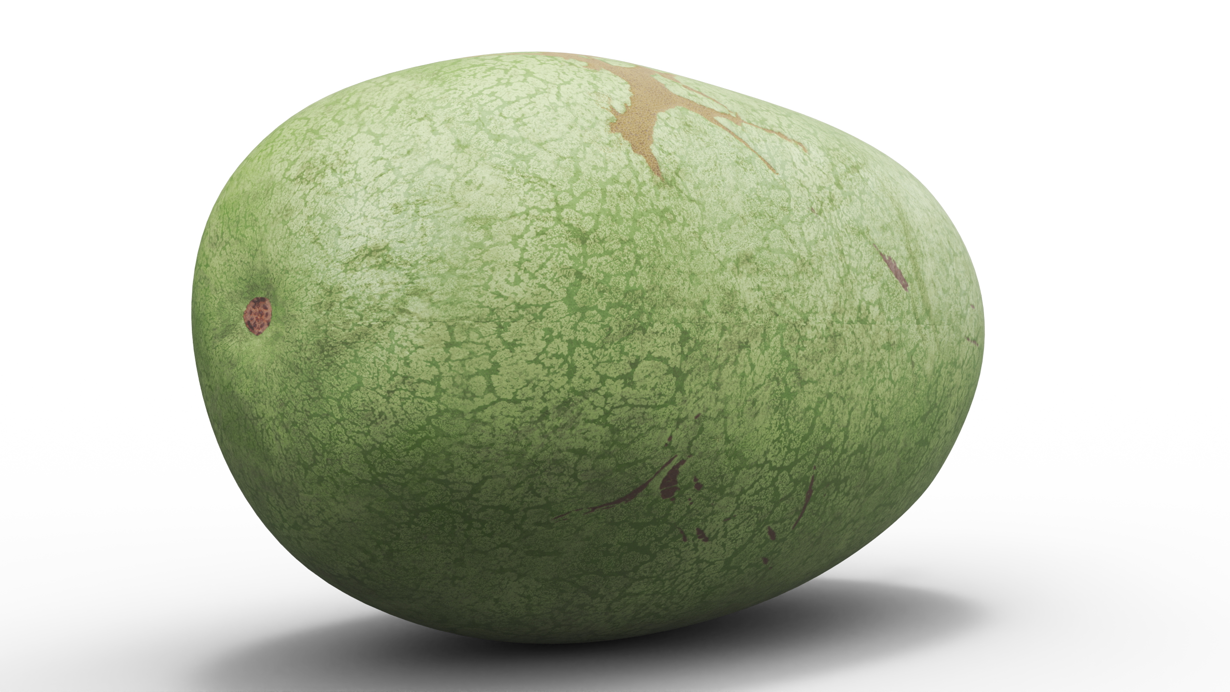 3D Charleston Gray Oblong Watermelon model