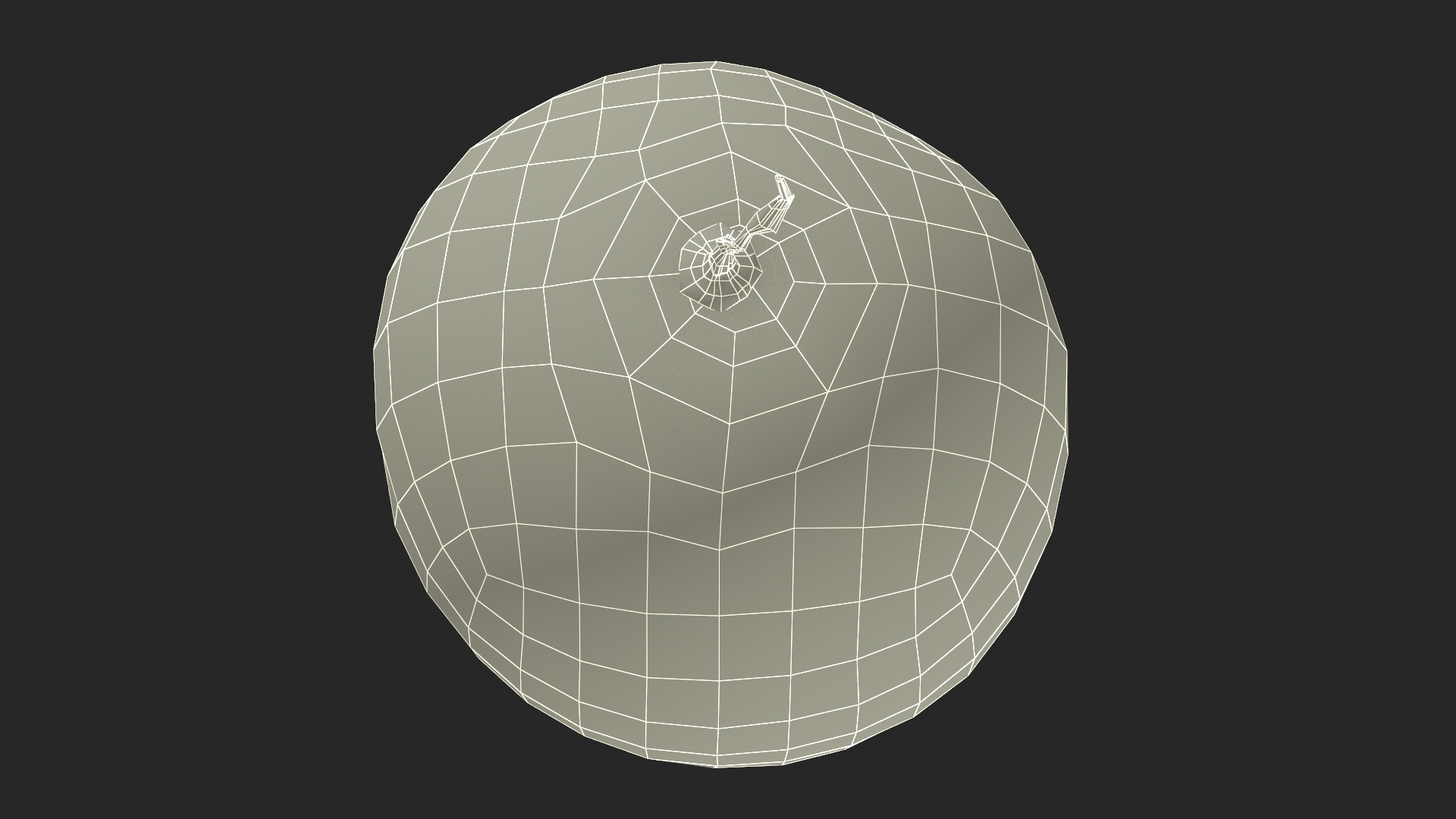 3D Charleston Gray Oblong Watermelon model