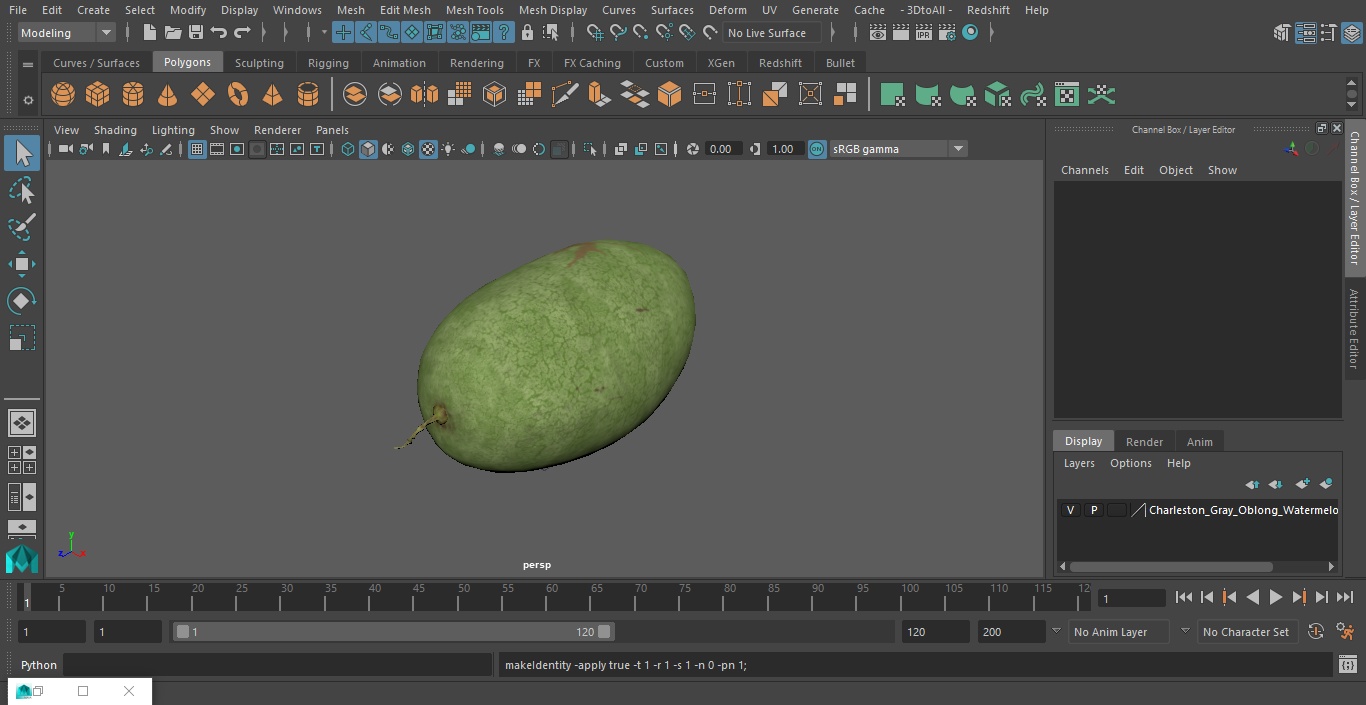 3D Charleston Gray Oblong Watermelon model