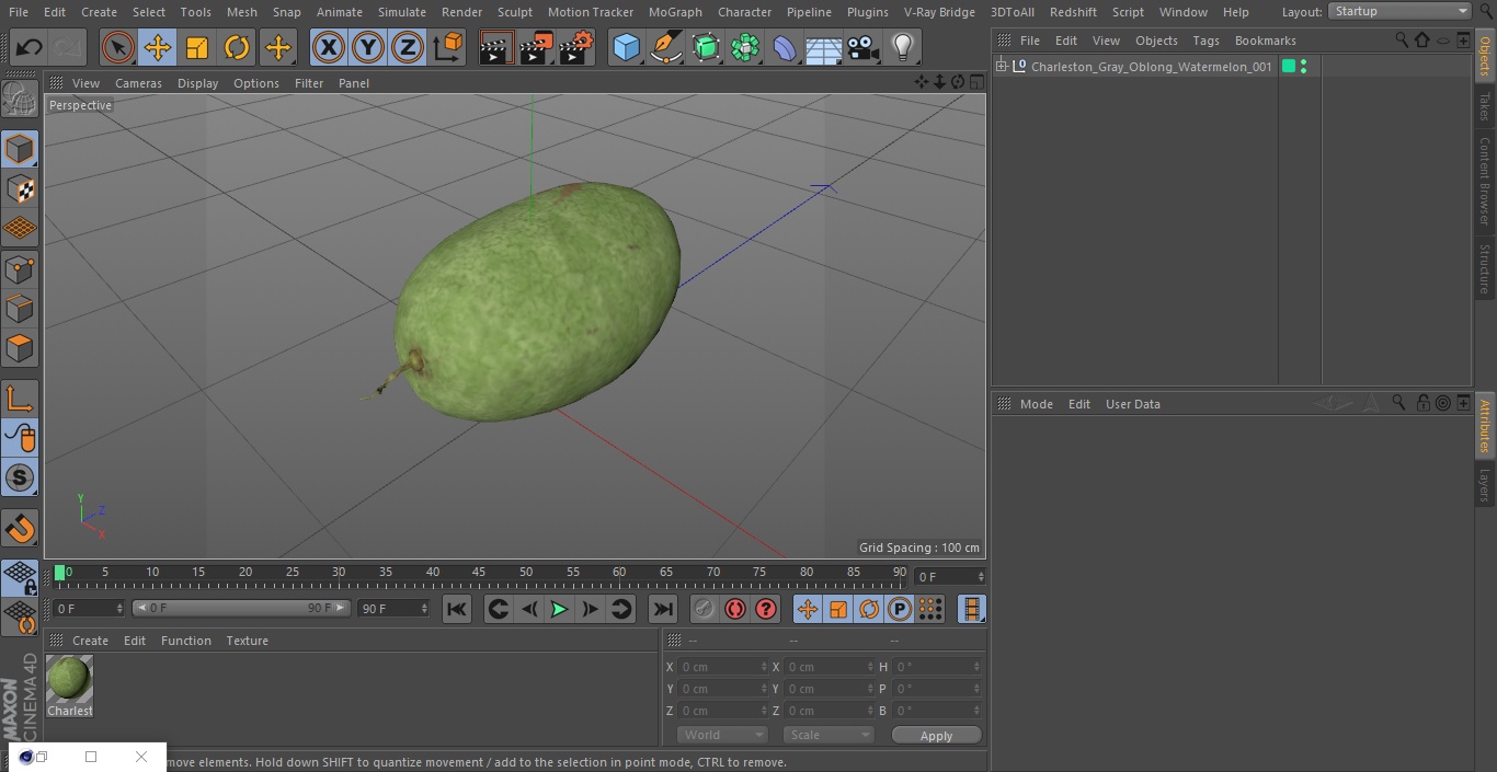 3D Charleston Gray Oblong Watermelon model