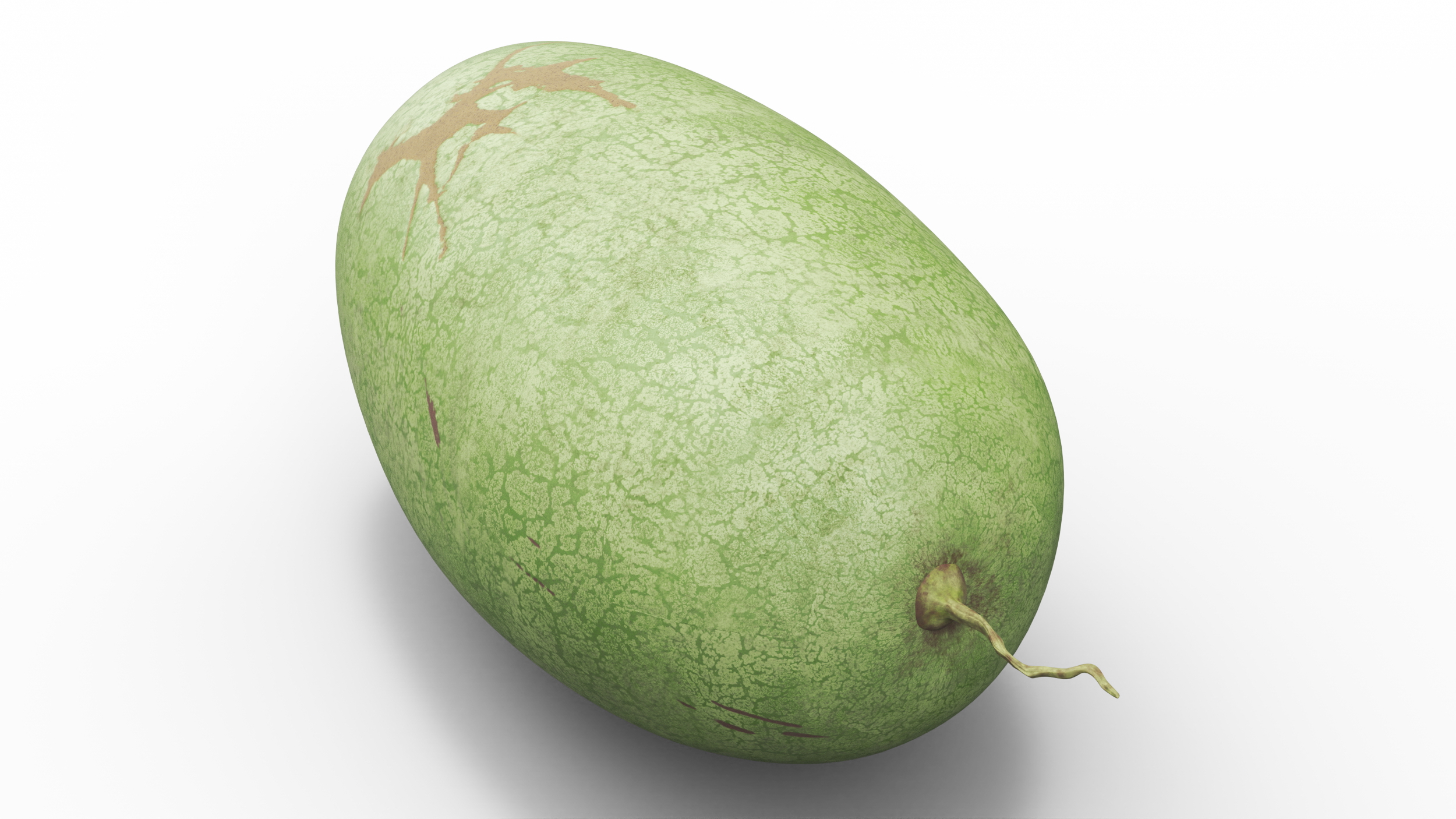 3D Charleston Gray Oblong Watermelon model