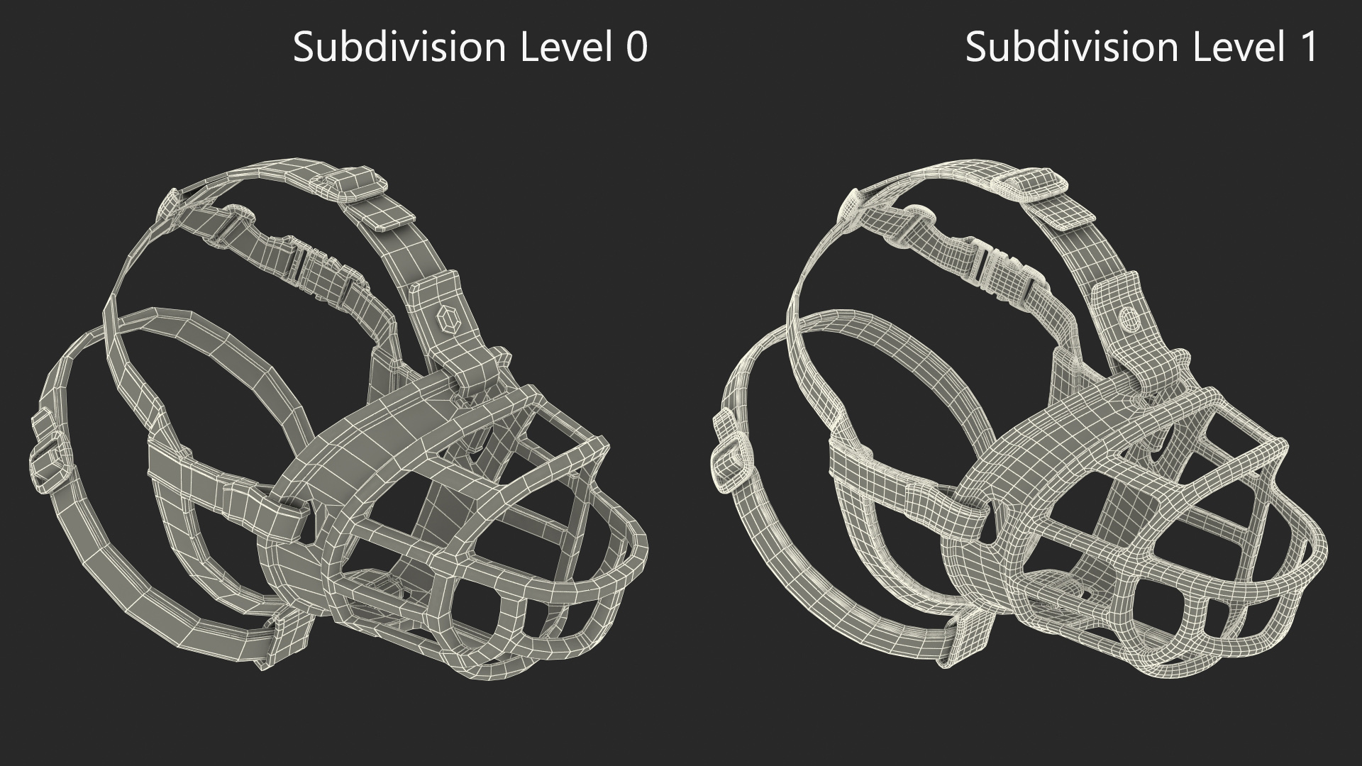 3D Baskerville Muzzle for Labrador