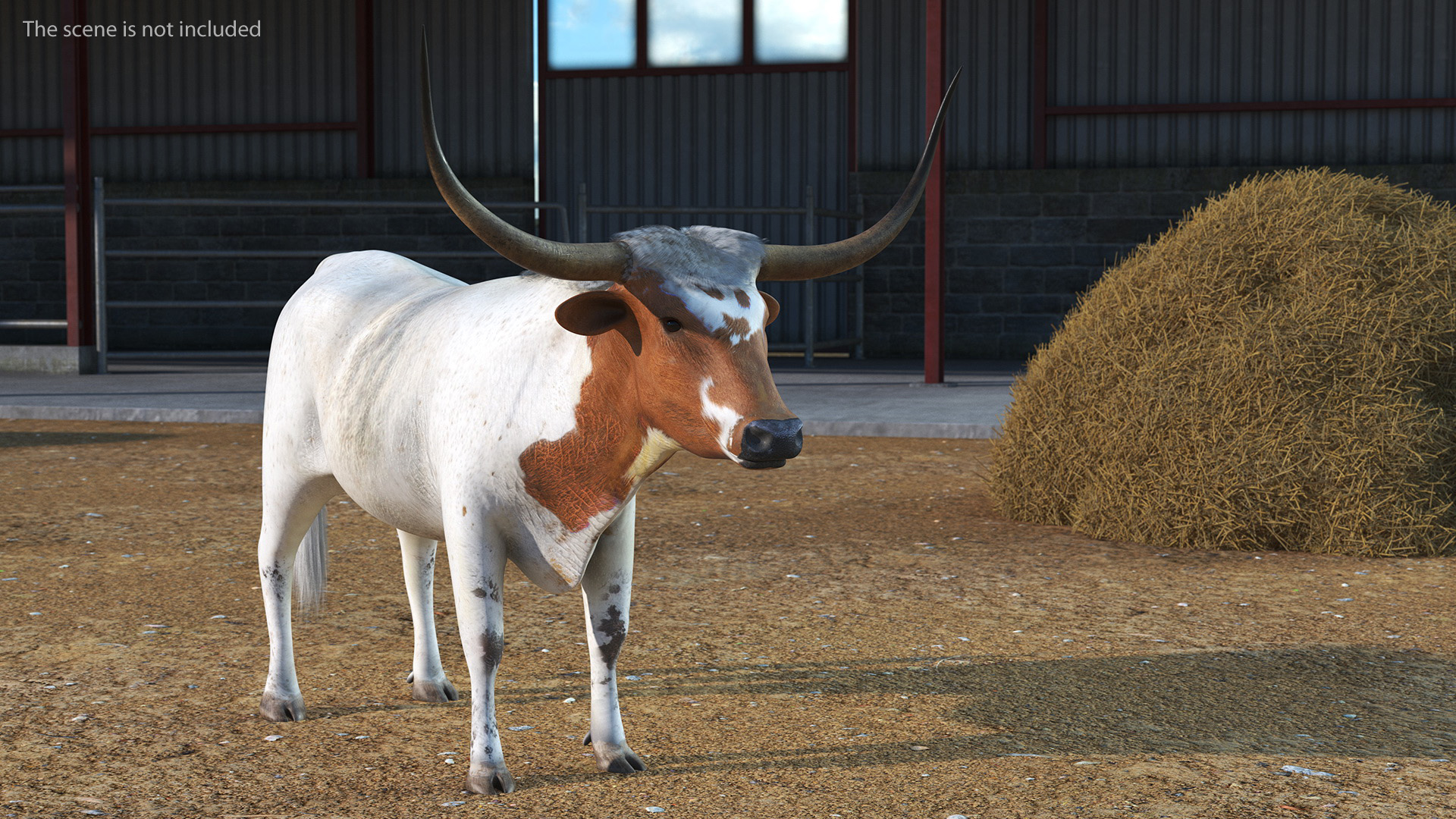 3D Texas Longhorn White Color