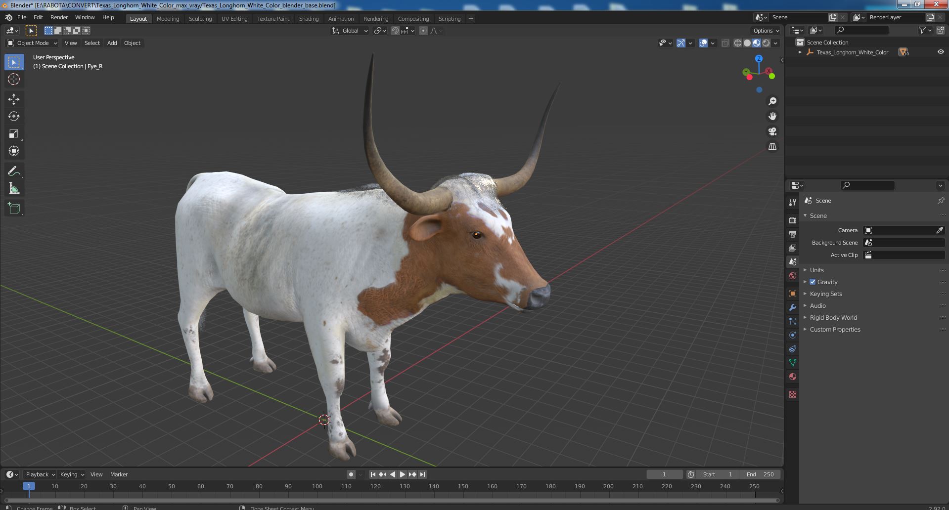 3D Texas Longhorn White Color