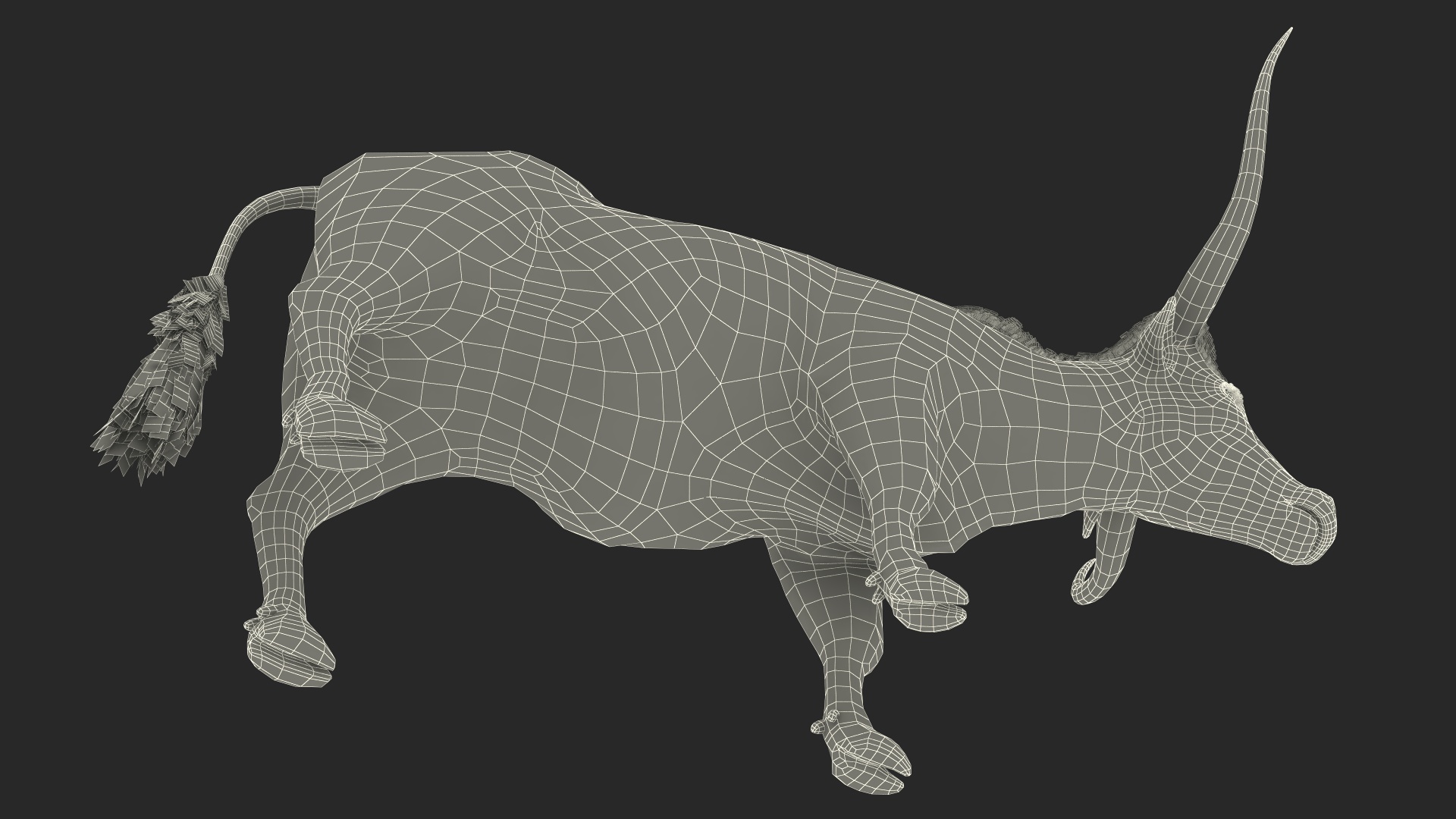 3D Texas Longhorn White Color