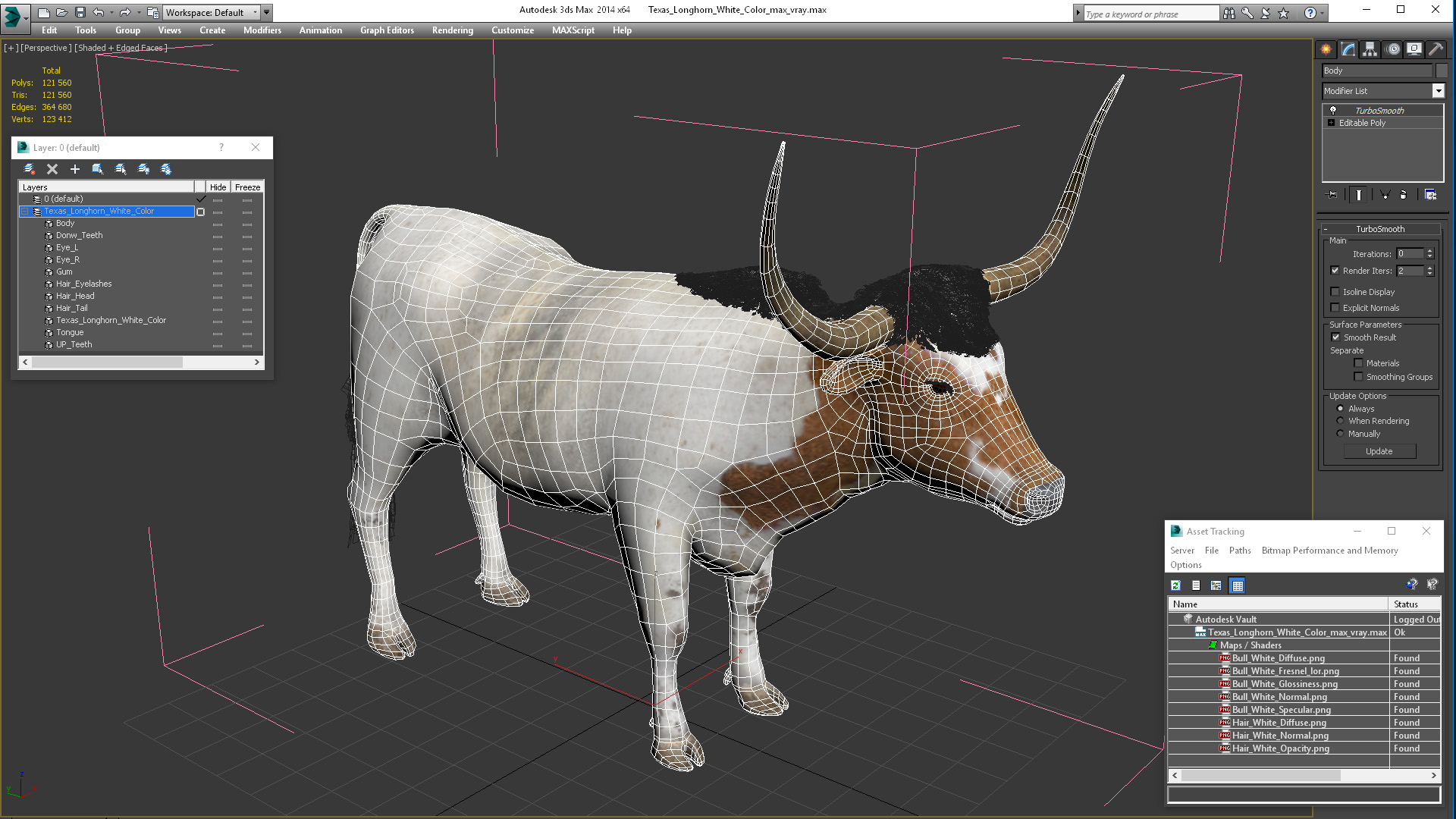 3D Texas Longhorn White Color
