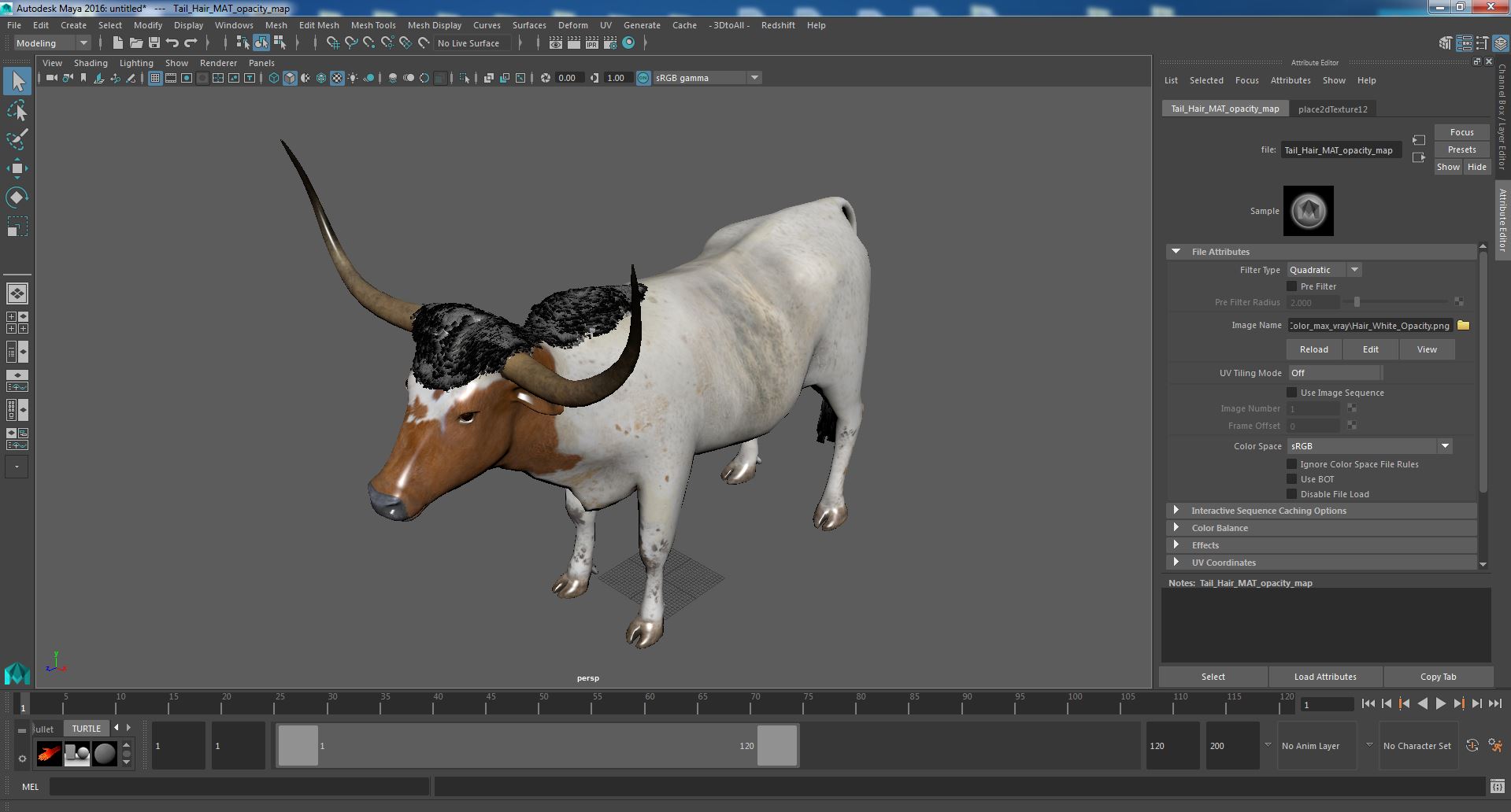 3D Texas Longhorn White Color