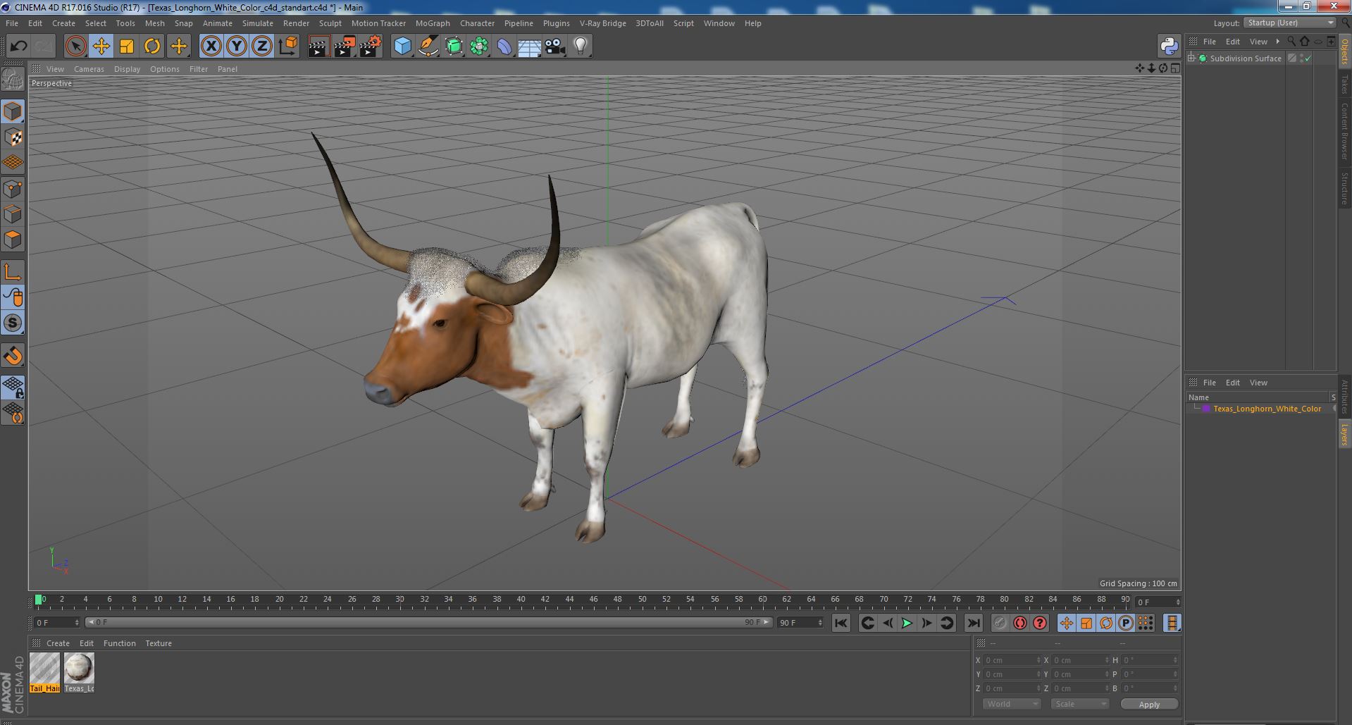 3D Texas Longhorn White Color