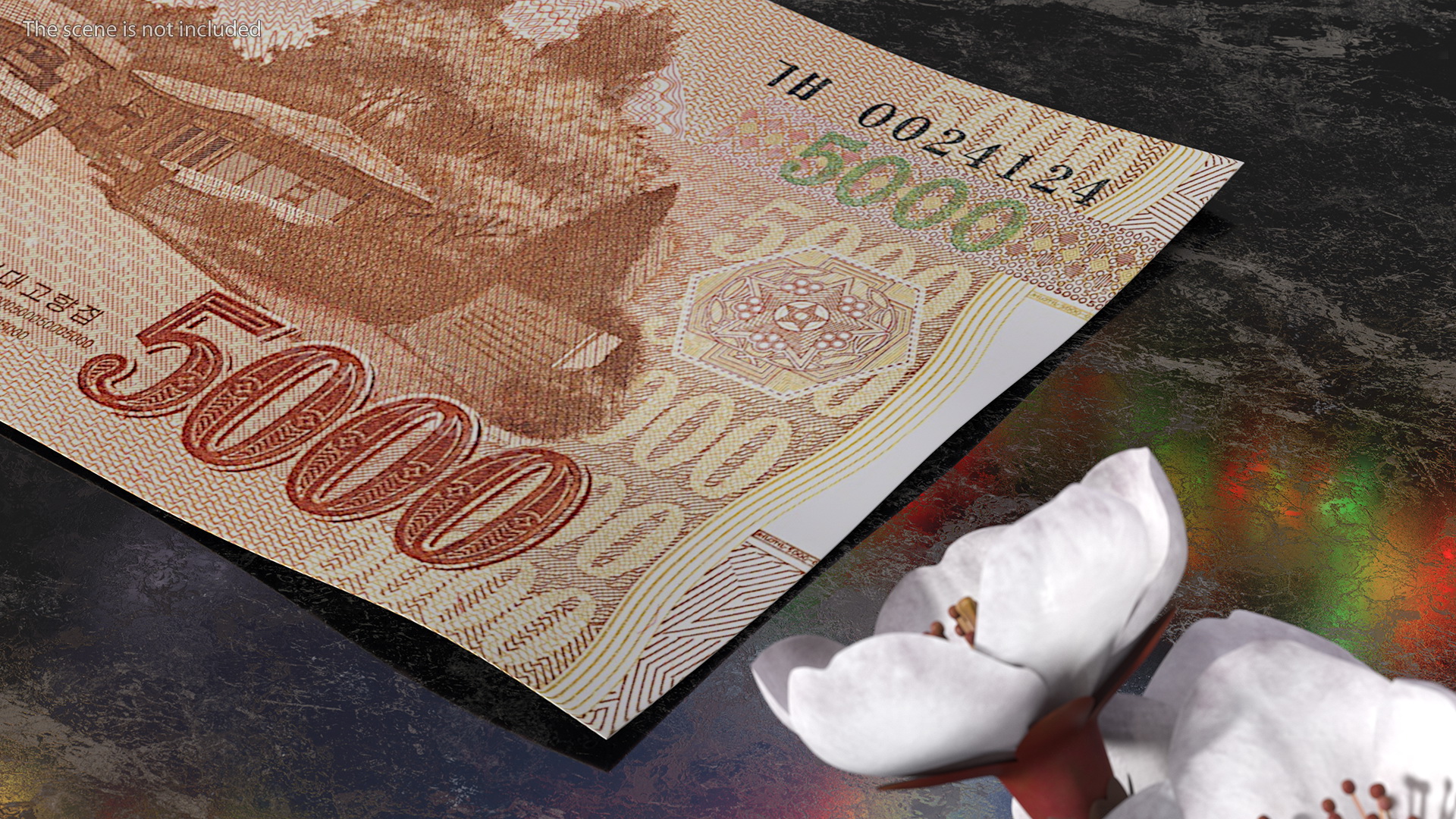 Fan of North Korea 5000 Won 2013 Banknotes 3D