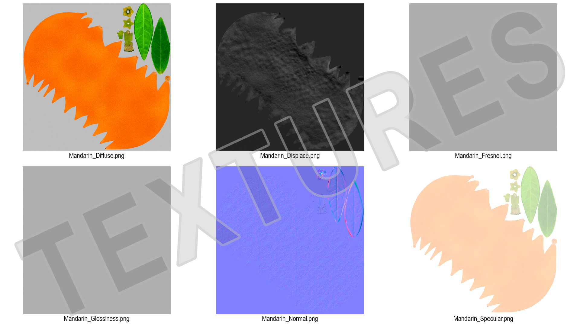 3D Mandarin with Leaf model