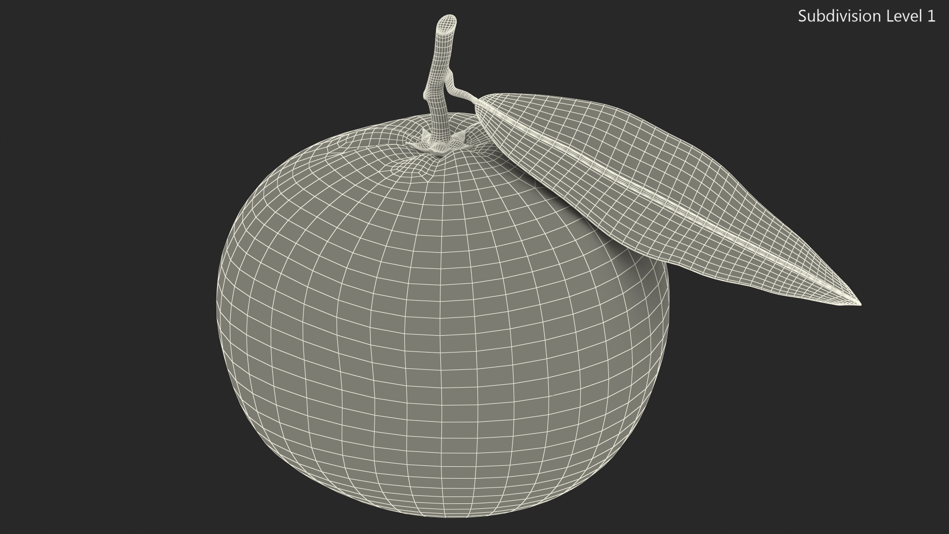 3D Mandarin with Leaf model
