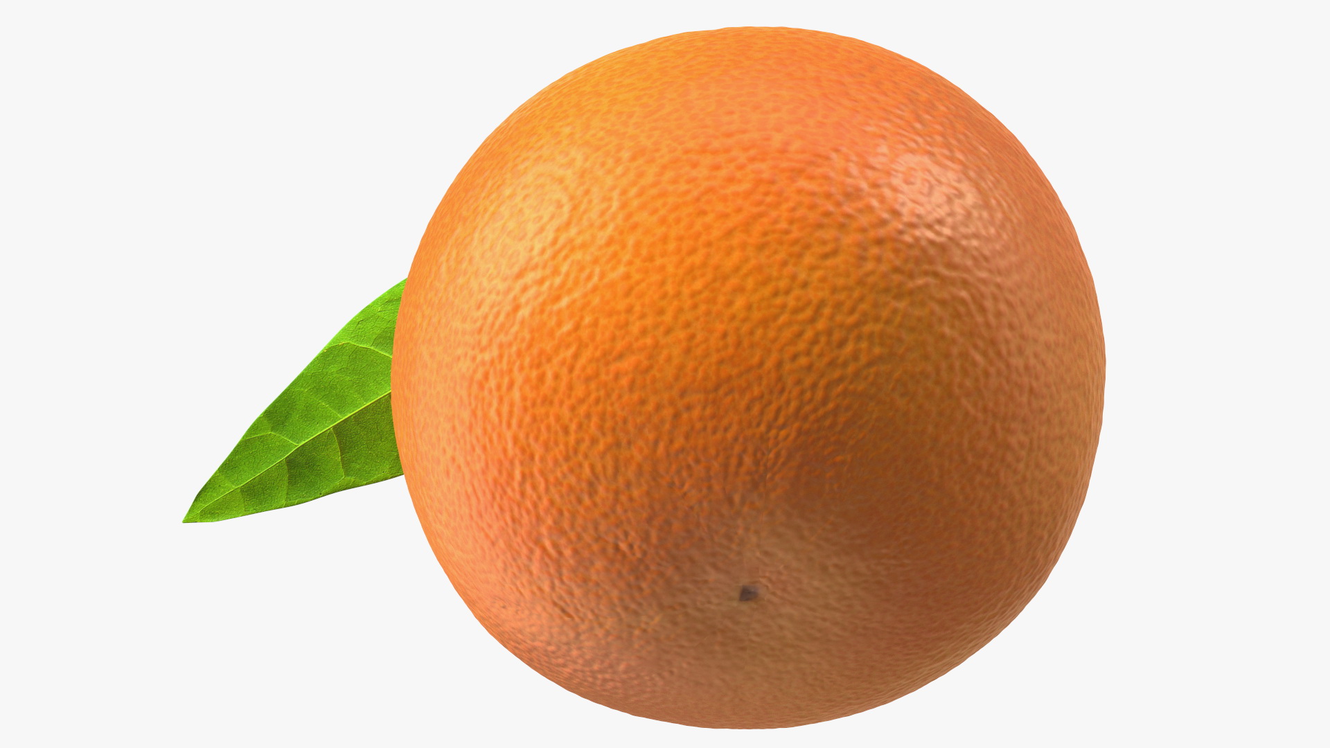 3D Mandarin with Leaf model
