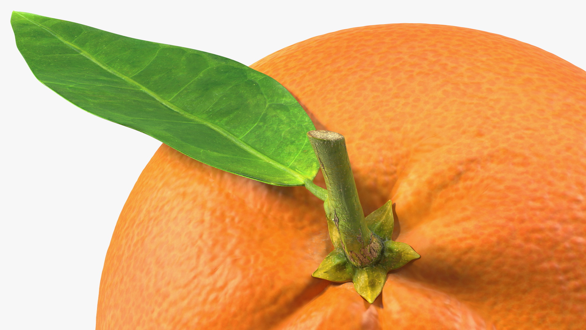 3D Mandarin with Leaf model