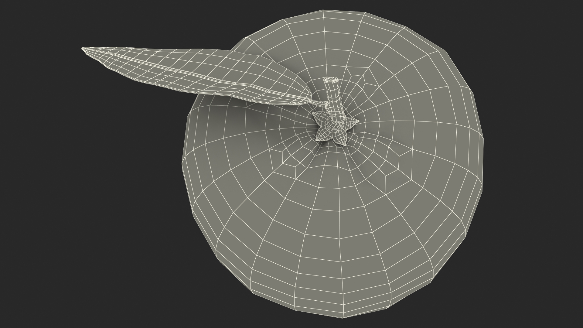 3D Mandarin with Leaf model