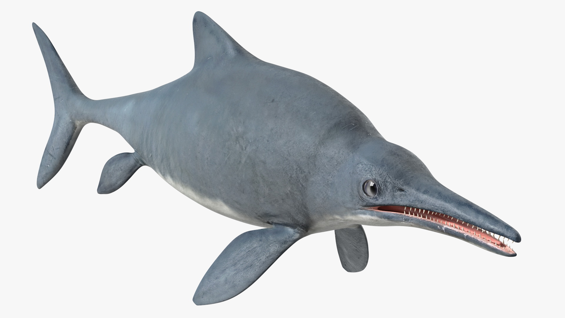 Ichthyosaur Rigged for Maya 3D
