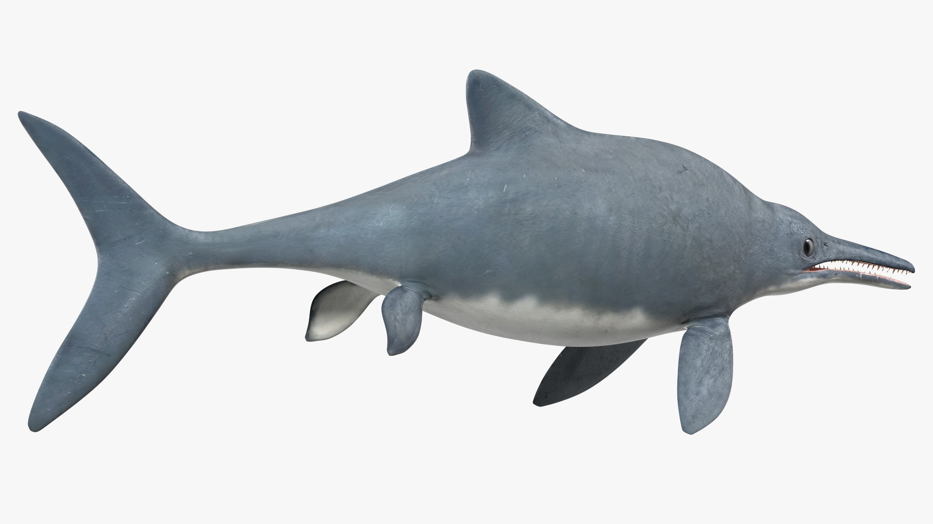 Ichthyosaur Rigged for Maya 3D